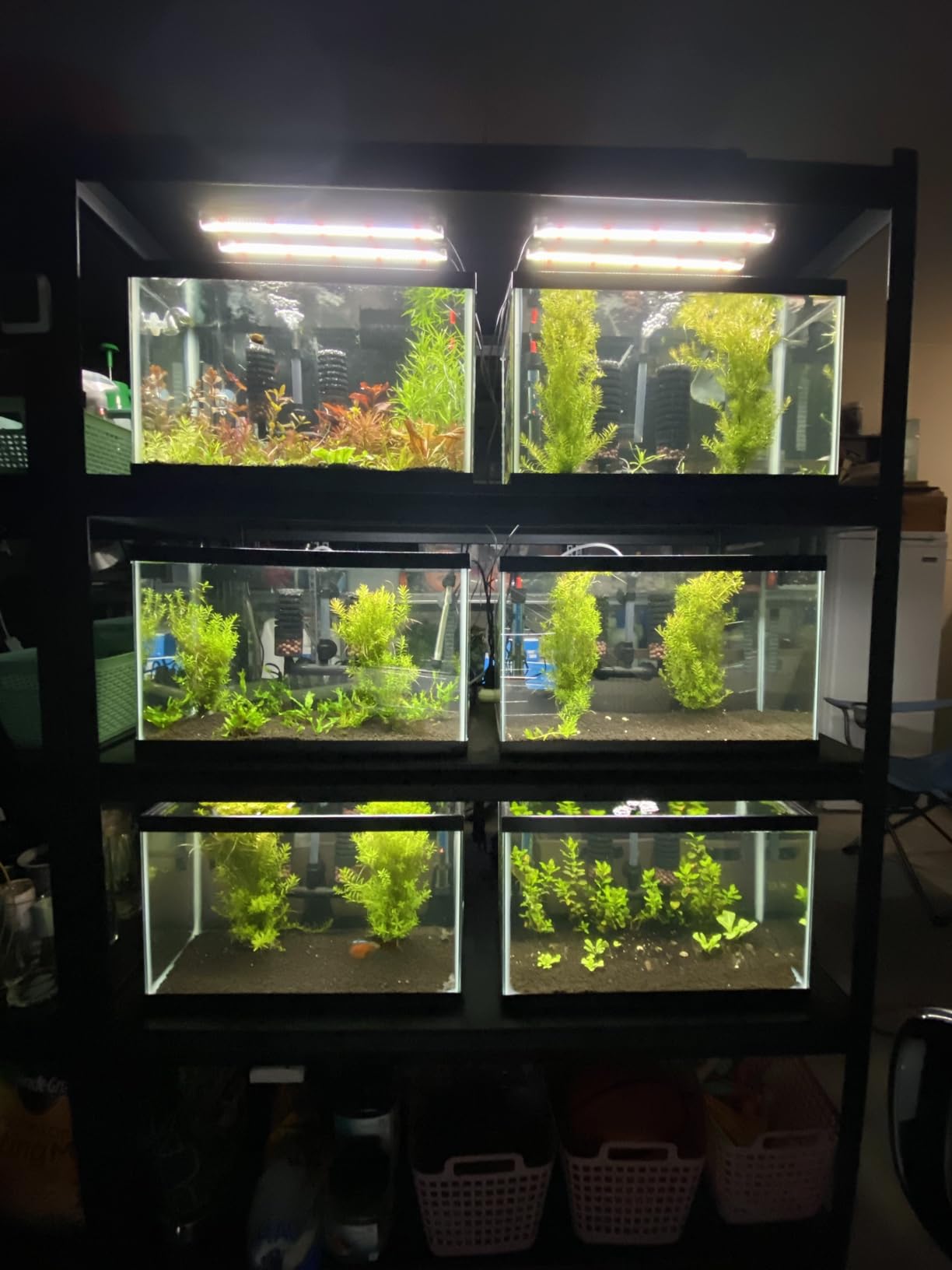 FZONE Pro Series Aquarium Dual Stage CO2 Regulator Adjustable Output Pressure with DC Solenoid and Integrated High Precision Needle Valve and Bubble Counter customer photo 2