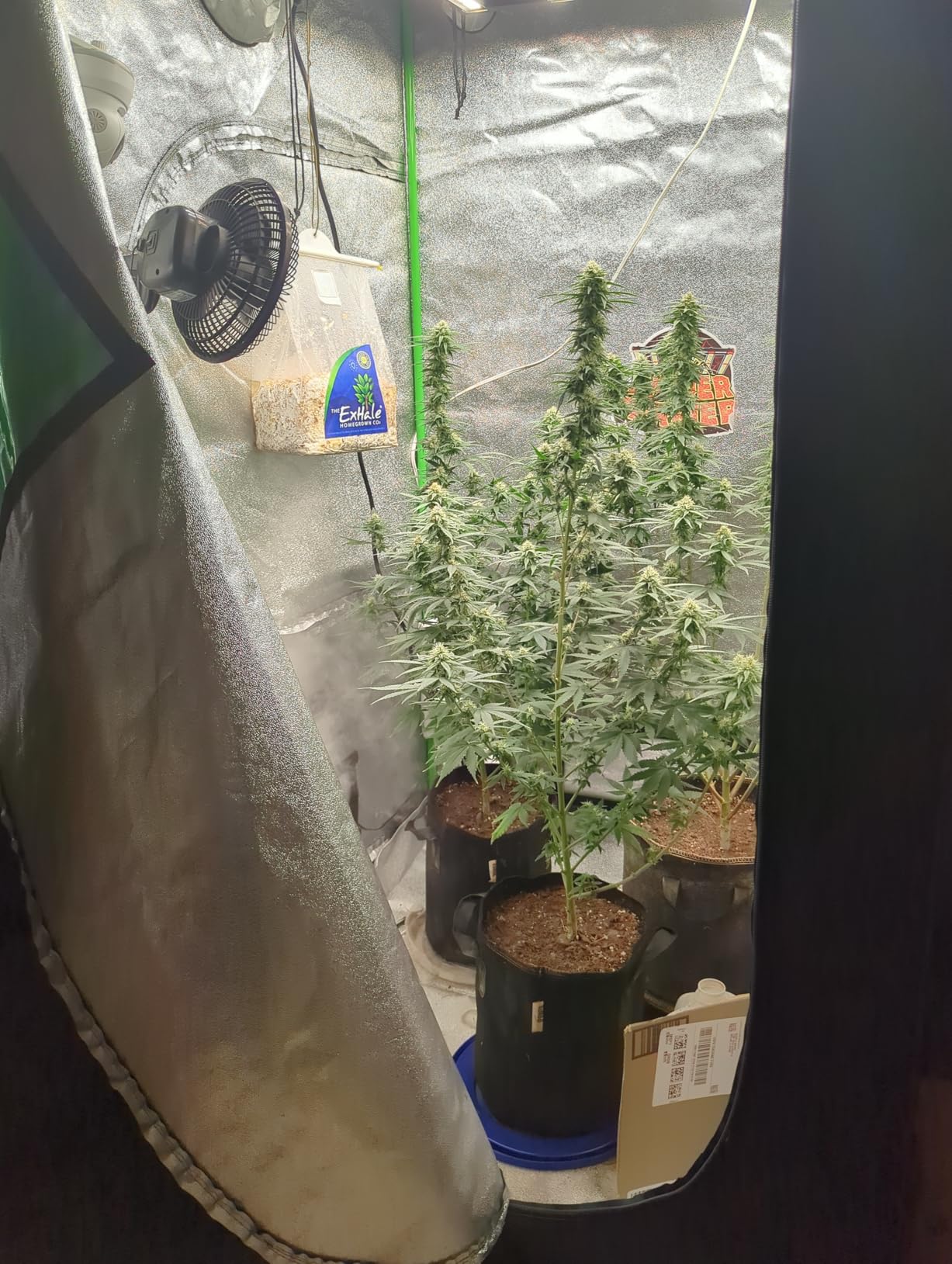 Spider Farmer 4x4 Grow Tent 48