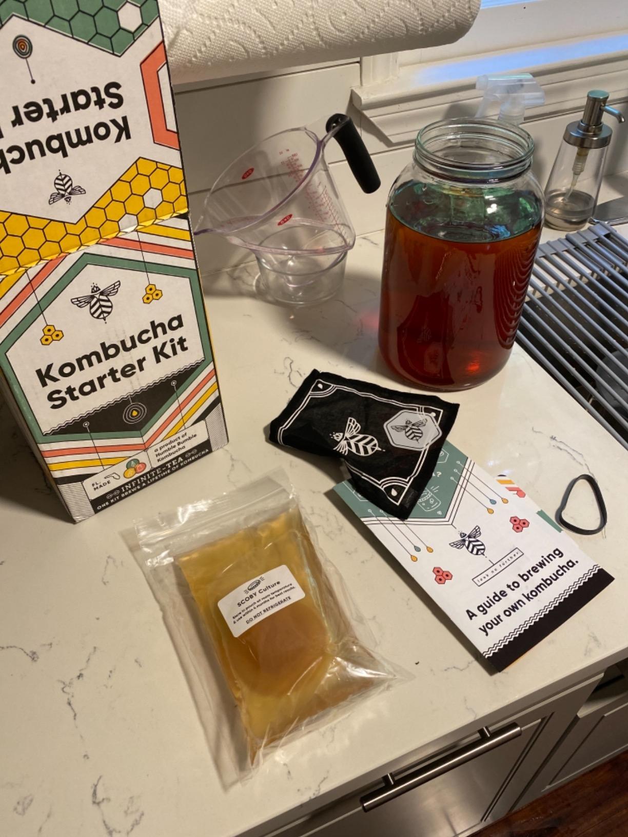 Craft A Brew Home Brewing Starter Kit Kombucha Tea Kit - Home Kombucha Kit - Fermentation Starter with Kombucha SCOBY - 1 Gallon customer photo 2