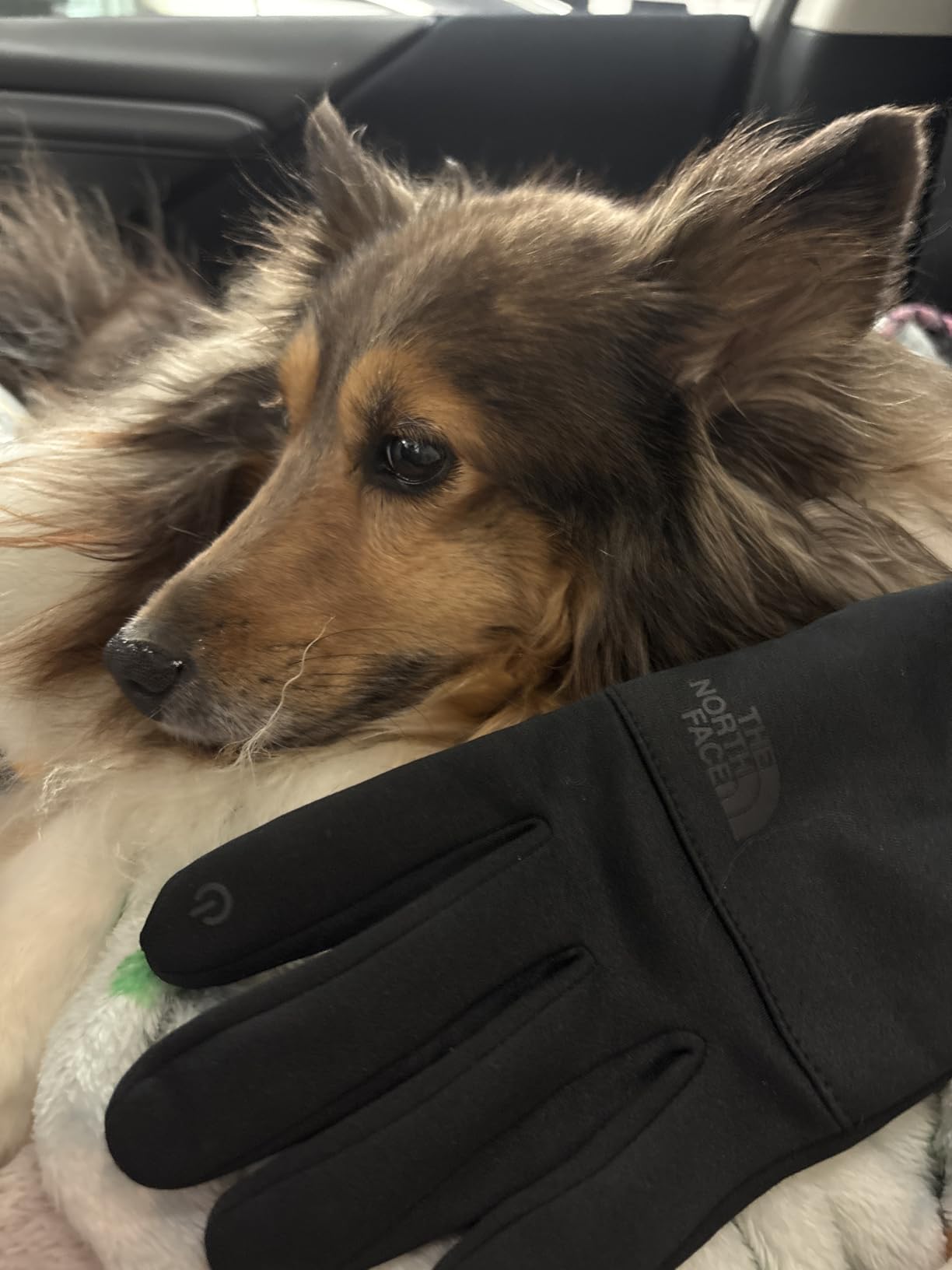 The North Face Etip Fleece Recycled Gloves | Touchscreen Compatible Gear for Men & Women, Hand Warming Winter Essential customer photo 1