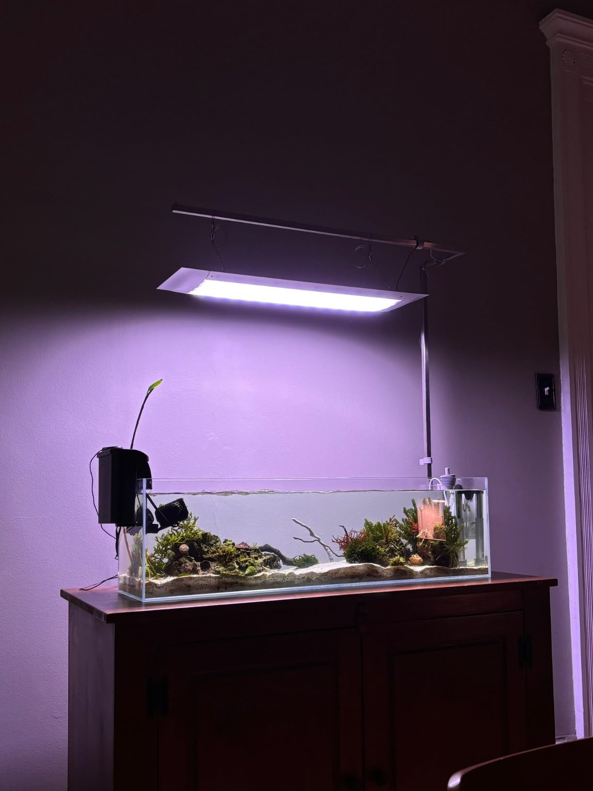 ONF Flat One+ 24 in 24/7 Cycle Aquarium Light, Blue White Full Spectrum Colorfull LED Light, Fish Tank Light Brightness Dimmable & Color Temperature APP Controlled, Sunrise & Sunset, Pendant Style customer photo 1