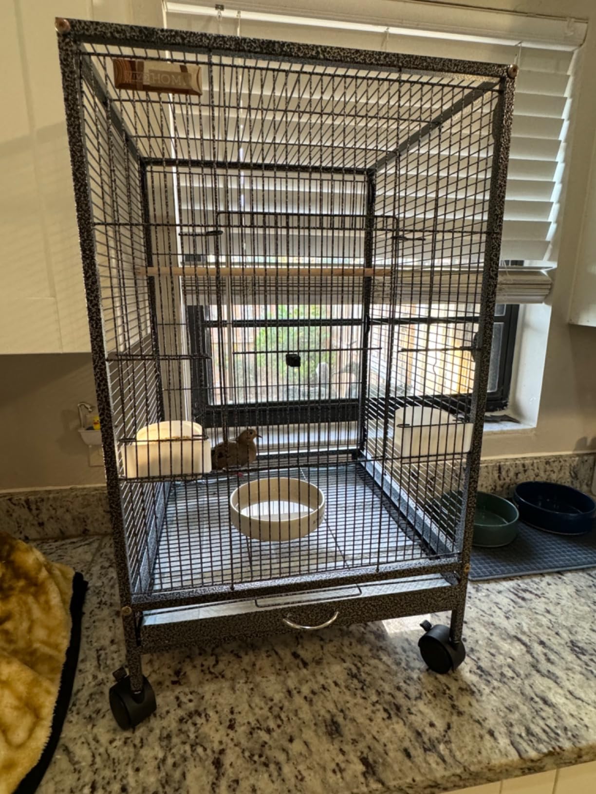 VIVOHOME Wrought Iron Bird Cage with Rolling Stand, 30 Inch Height | Standing Bird Flight Cage with Casters, Slide-out Tray for Parakeets Cockatiels Lovebirds Canaries Finches Conures, Black customer photo 2