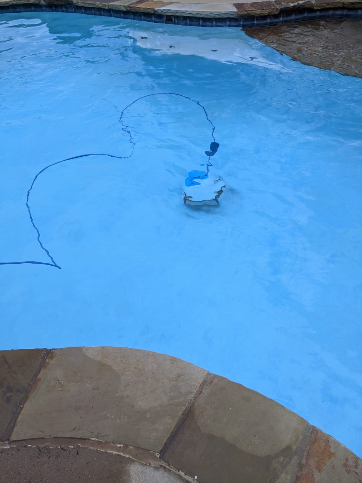 Dolphin Proteus DX3 Automatic Robotic Pool Vacuum Cleaner, Wall Climbing customer photo 2