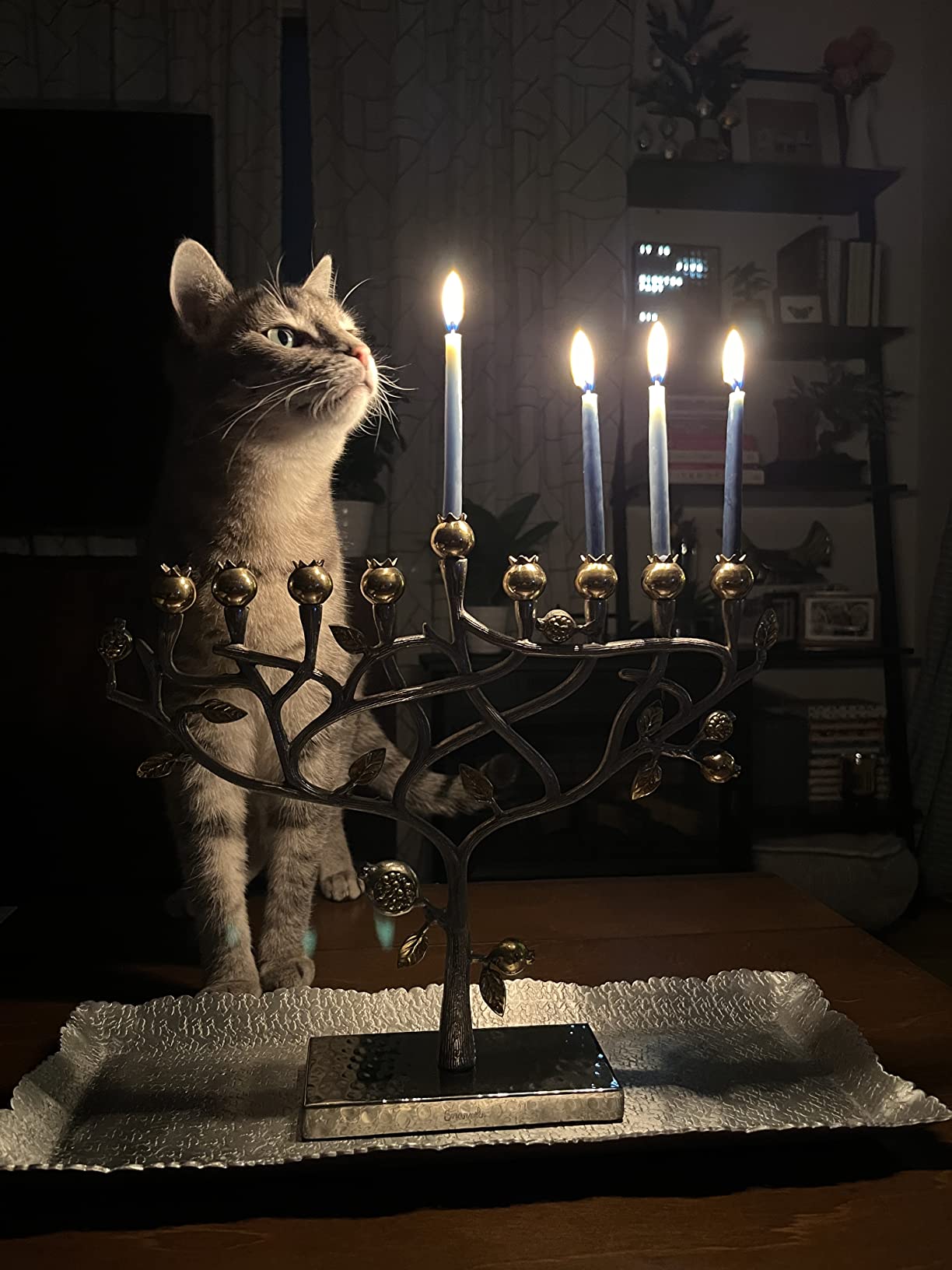 Yair Emanuel Gold & Silver Hammered Pomegranate Tree Menorah customer photo 1