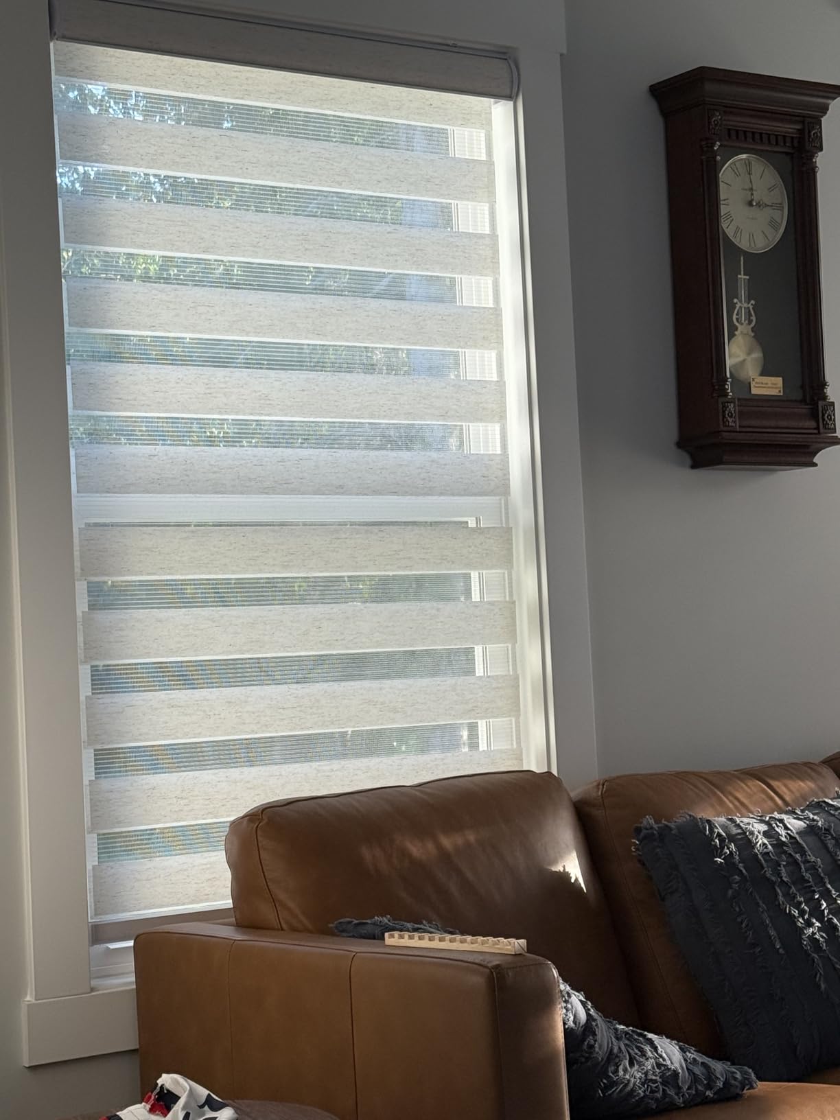 CHICOLOGY Zebra Blinds Cordless, Light Filtering, White Shade, 36W x 72H | Dual Layer Zebra Shade, Light Filtering for Windows, Cordless Child Safe, Inside Outside Mount, Bedroom Living Room customer photo 1