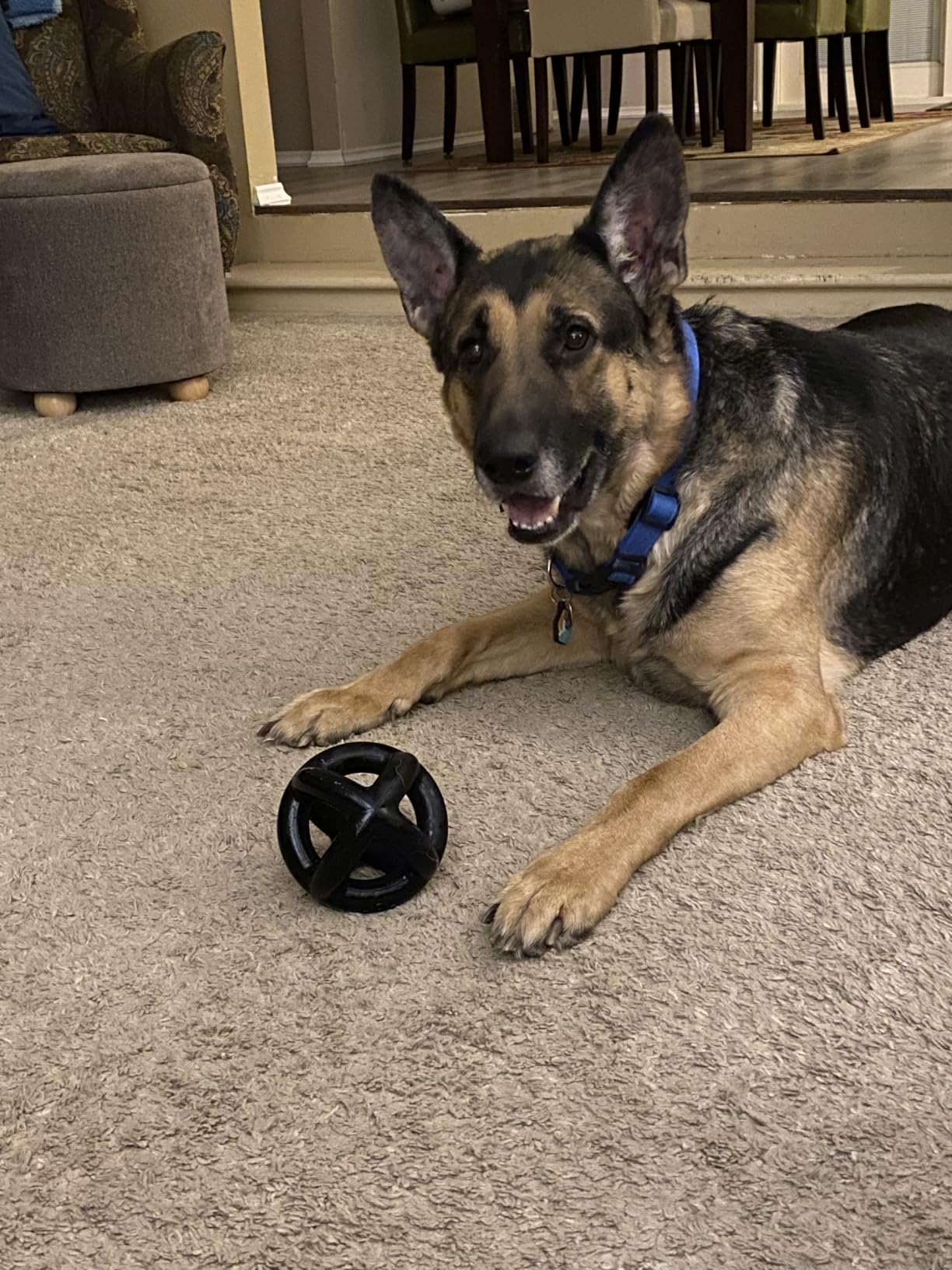 Monster K9 Ring Ball | Virtually Indestructible. Lifetime Guaranteed. | VULCRON Natural Rubber | Durable, Heavy Duty Dog Chew Toy for Aggressive Chewers | Medium & Large Breeds, 5.5