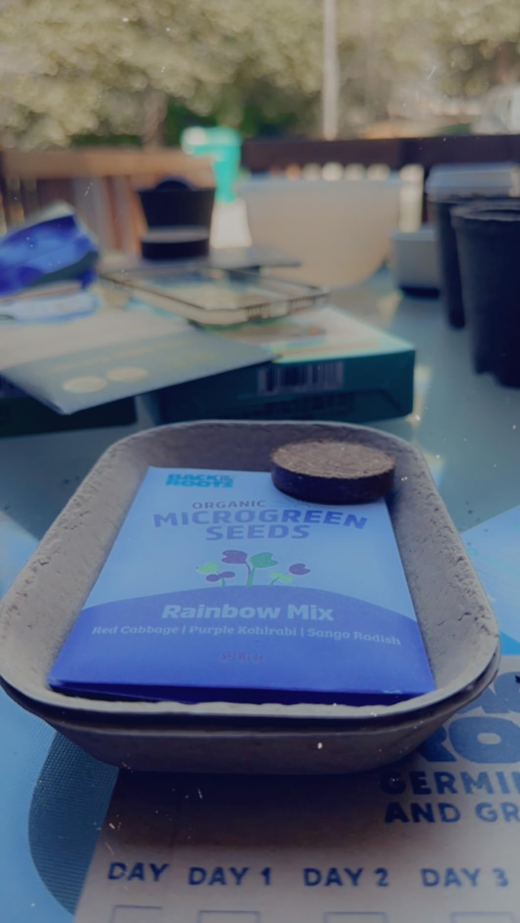 Back to the Roots DIY Microgreen Grow Kit, 6-Grow Variety Pack customer photo 2