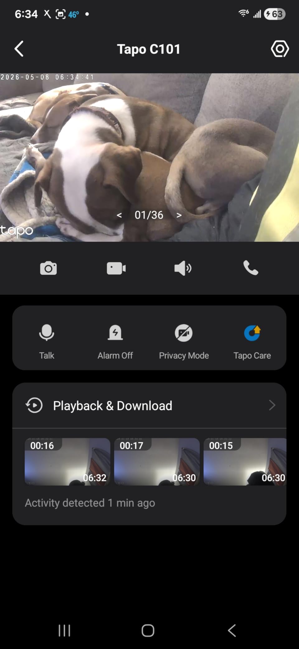 Tapo 1080P Indoor Security Camera, Baby Monitor, Dog Camera, Wired, C100 customer photo 1