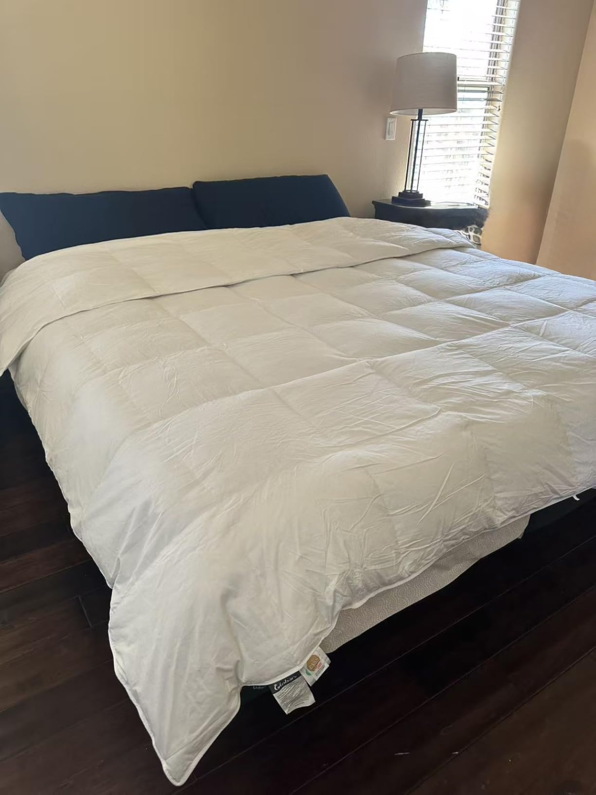 Globon Goose Down Comforter King Size, 800 Fill Power, All Season, White | Luxury Goose Down Duvet Insert, Medium Weight, Ultra Soft 420 Thread Count Noiseless Shell, 8 Corner Tabs, 106x90 inches customer photo 2