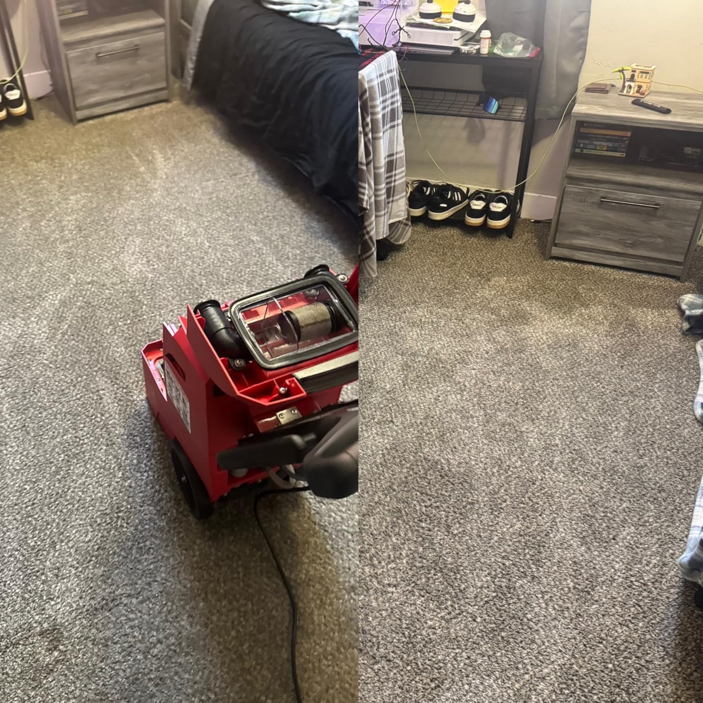Rug Doctor Mighty Pro X3 Commercial Carpet Cleaner with Pet Cleaner Pack customer photo 1
