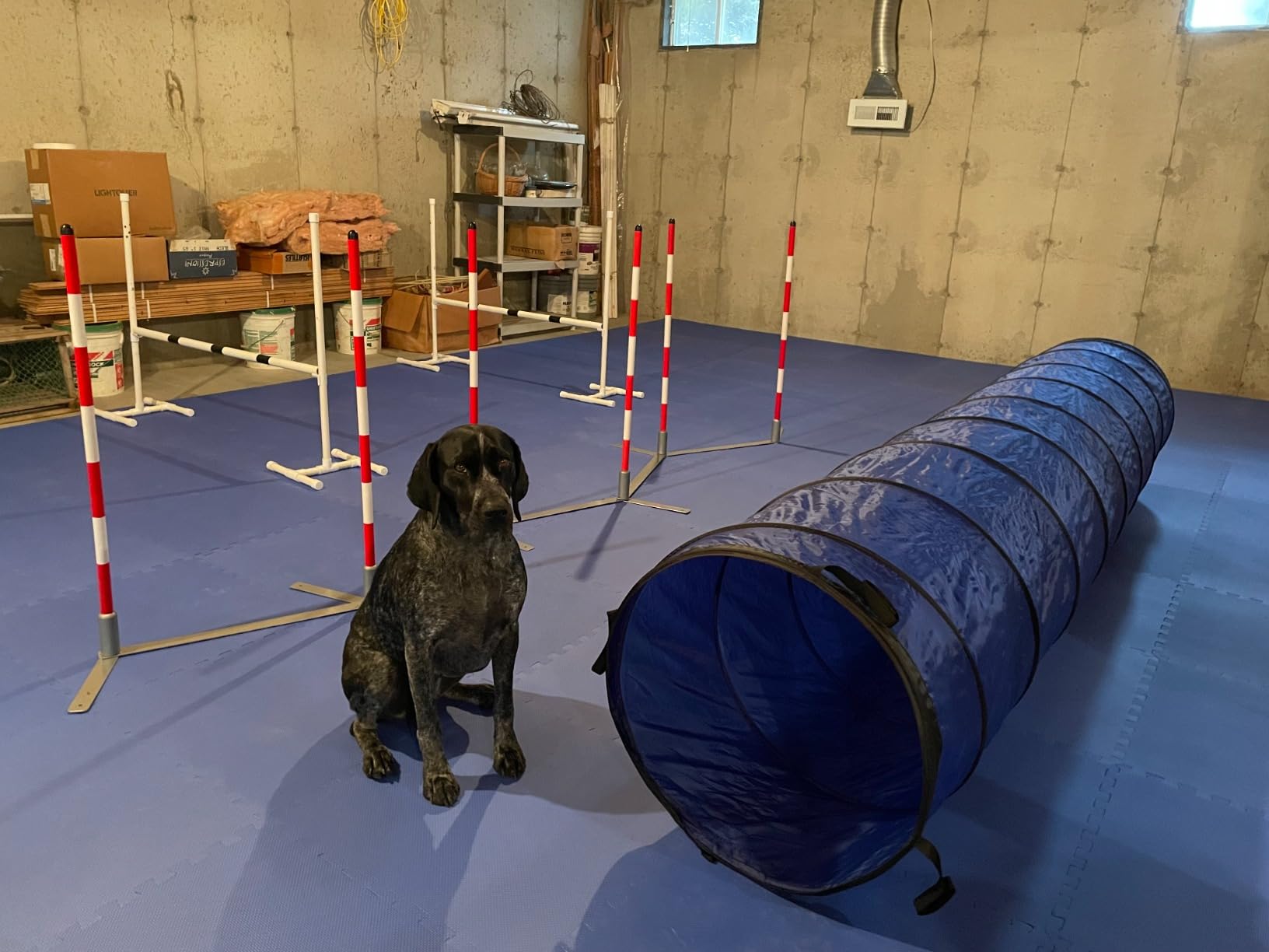 Better Sporting Dogs 10 Foot Dog Agility Tunnel | Includes Sandbags, Dog Agility Equipment, Dog Agility Training customer photo 1