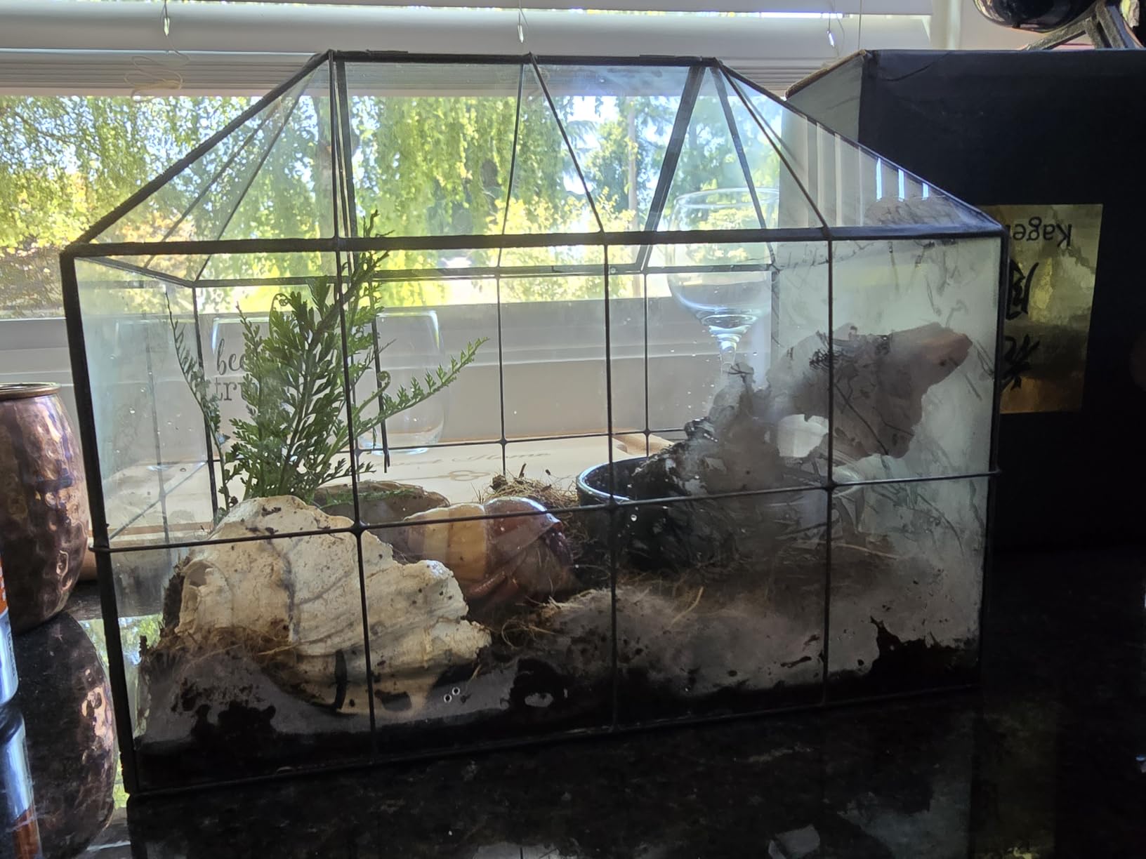 Large Glass Terrarium House Planter - Succulent Plant Glass Greenhouse with lid 9.8X7.9X5.9 NA customer photo 1