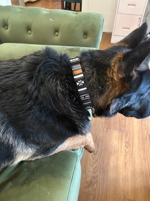 Wolfgang Heavy Duty Martingale Dog Collar with Quick Release Nylon Buckle for Walking & Training, Overland Print, Medium customer photo 2