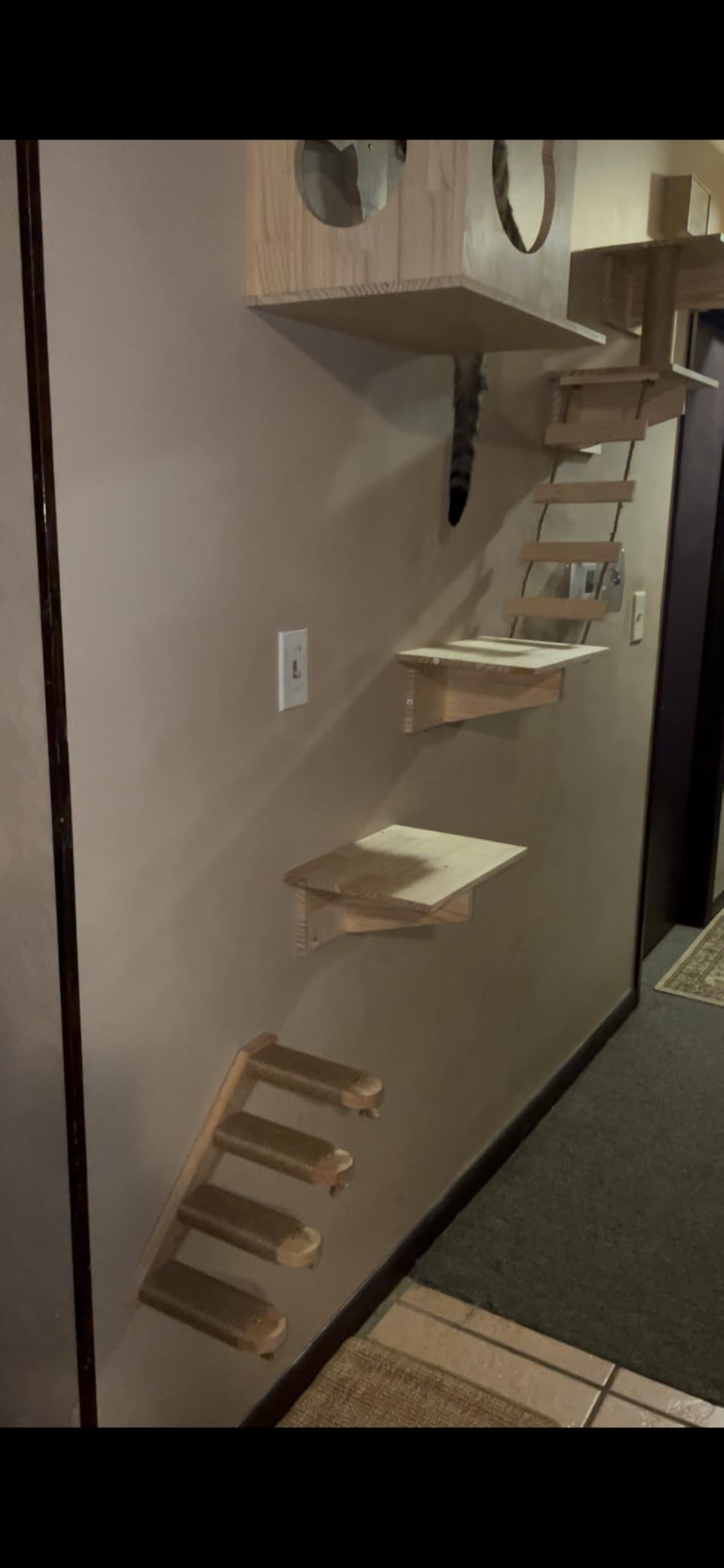 FUKUMARU Cat Climbing Shelf Wall Mounted, Small | Four Step Cat Stair, Natural Jute Scratching, Solid Rubber Wood, Kitten Shelves Furniture customer photo 2