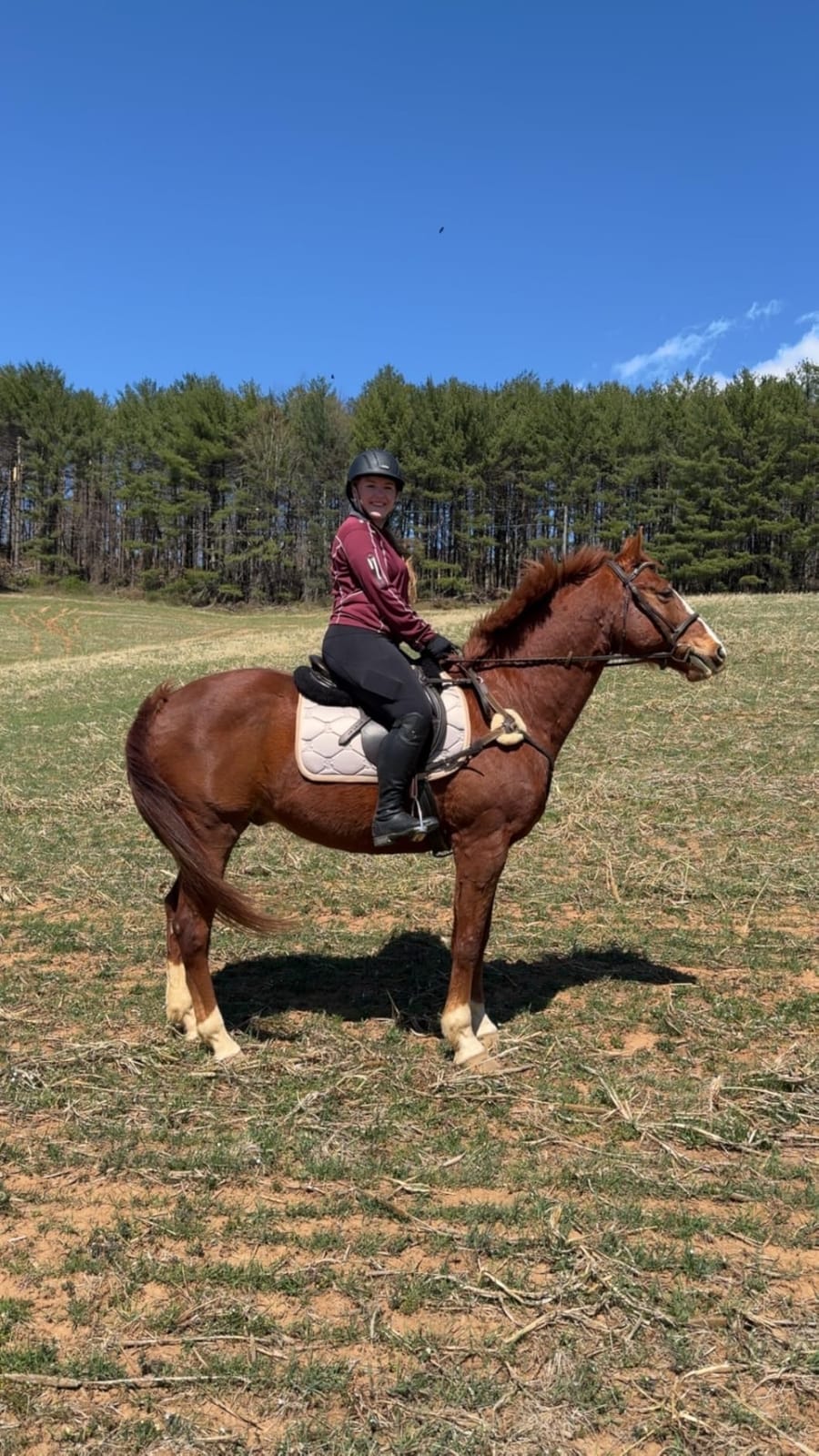 Exion Leather 5-Point Breastplate for Horses with Running Martingale - Exion English Breast Collar with Brown Elastic | Original Fur & Soft Leather Padding | Stainless-Steel Hardware customer photo 2