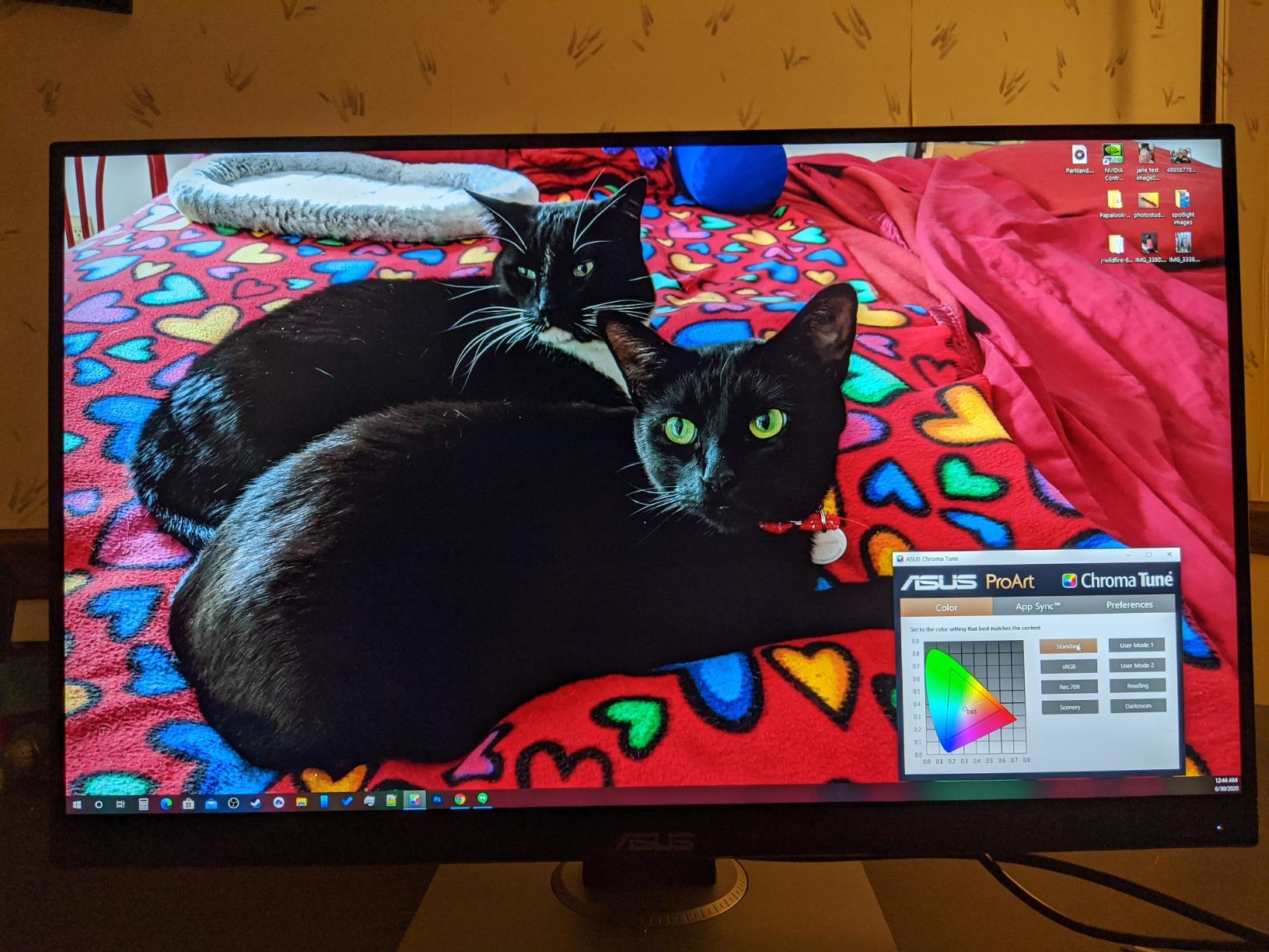 ProArt PA278QV 27 Inch 1440p QHD Professional Monitor | Calman Verified, IPS, Height Adjustable, 100% sRGB, Eye Care, Anti-Glare, Ergonomic Stand, Rec.709 customer photo 2