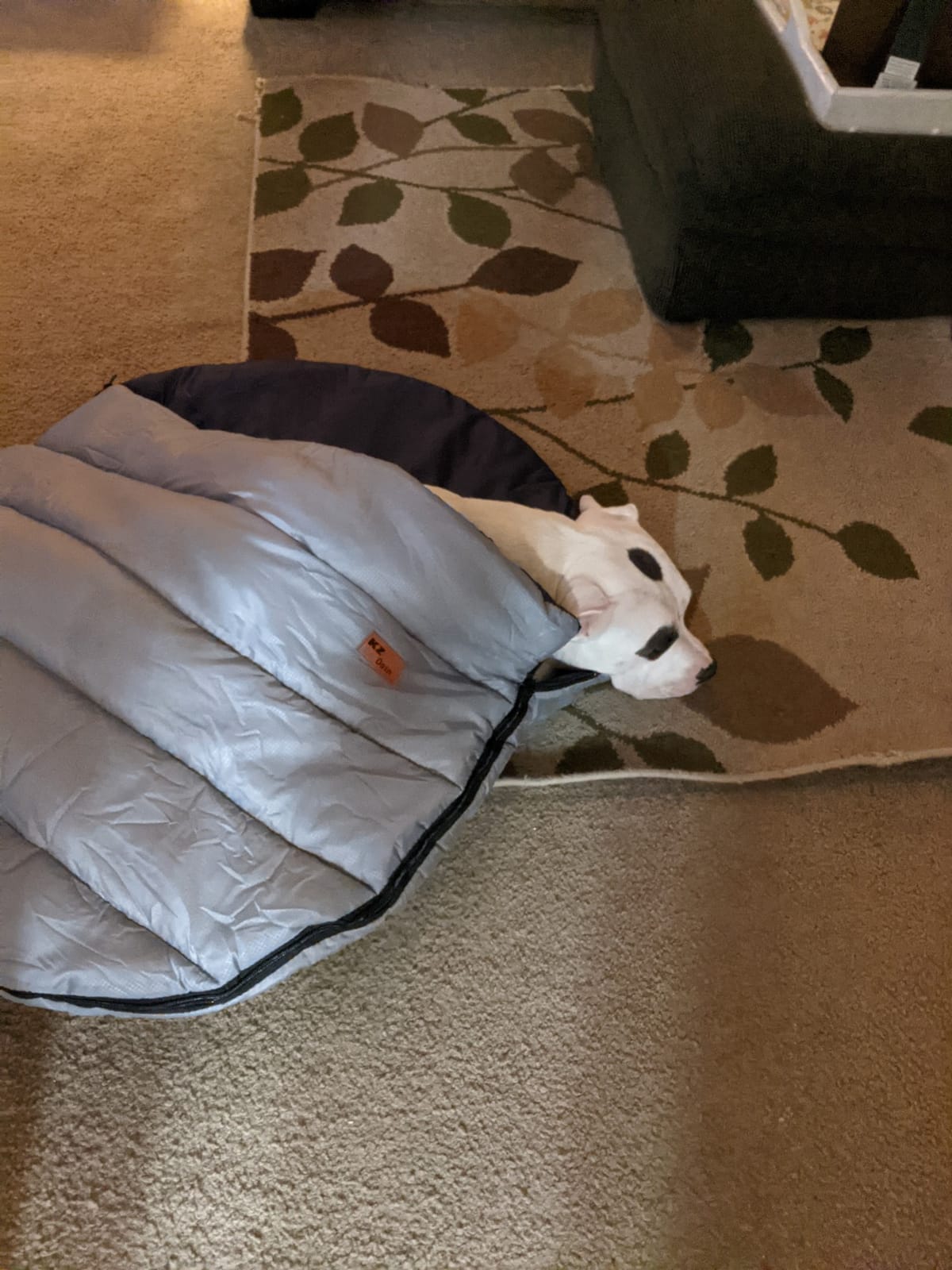 Soft Warm Dog Sleeping Bag, Large Portable Waterproof Camping Pet Bed, Packable Dog Bed for Camping, Hiking, Indoor Use customer photo 2