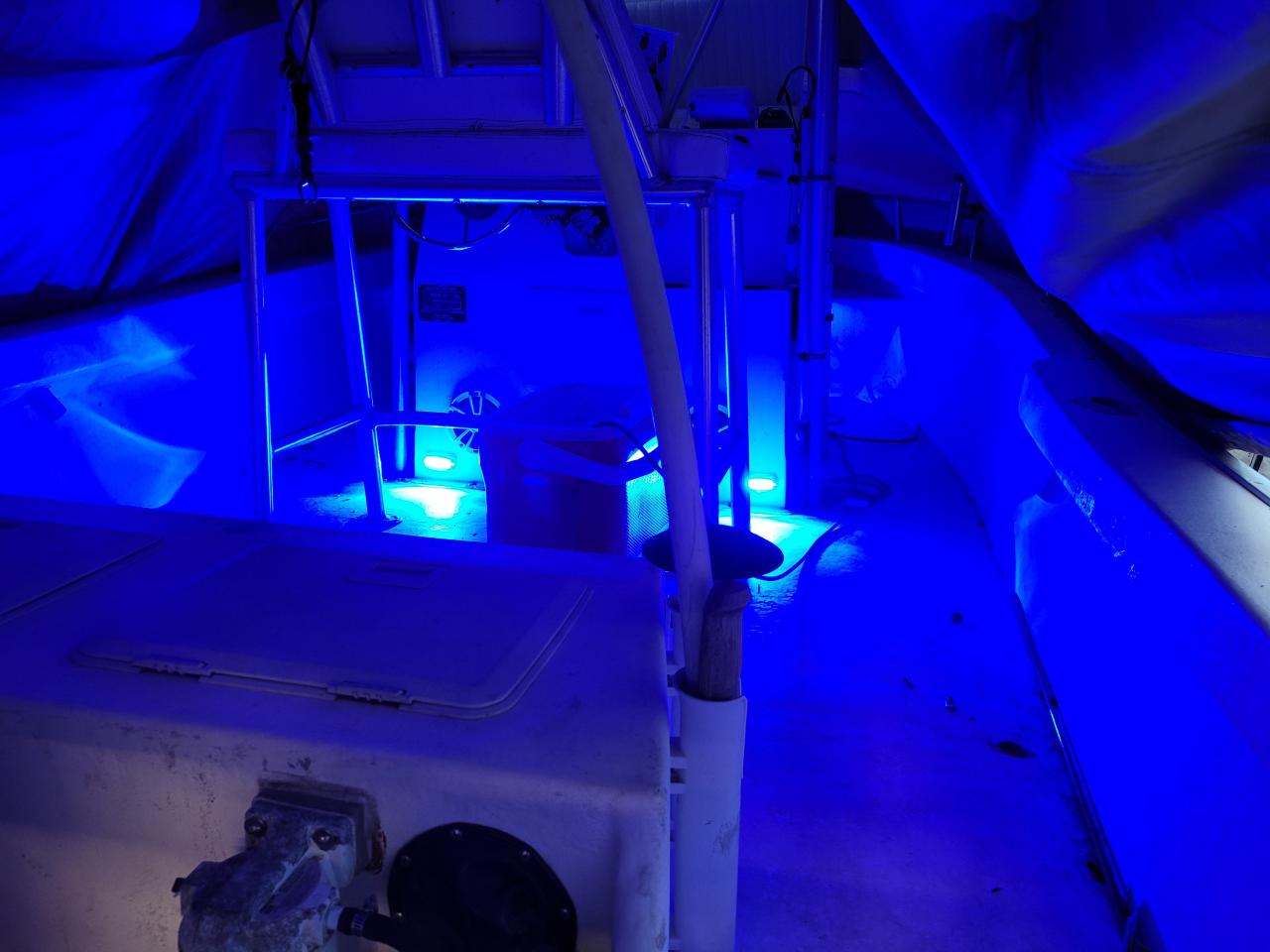 HUSUKU SOOP3 Mini 50W 27LED Waterproof Stainless Steel Transom Led Light, High-Intensity Marine Led Underwater Lights (2 pcs) customer photo 1