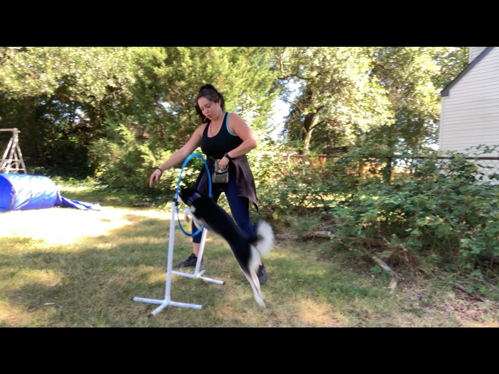 Agility Course Backyard Set - 7pc | Indoor and Outdoor, 3 Jumps, 2 Tunnels with Sandbags, Weave Poles, Dog Agility Training Equipment customer photo 2