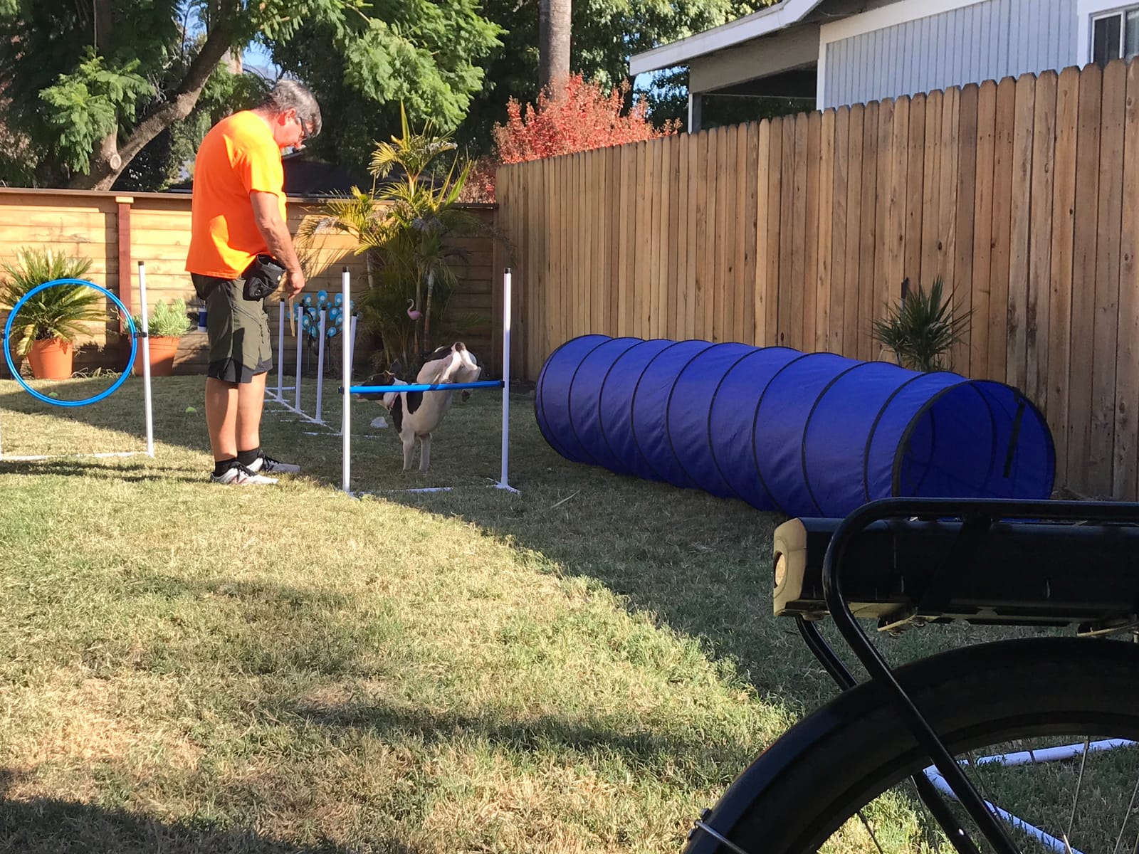 Complete Starter Agility Set for Dogs, 5 Piece | Agility Jump, Tire Jump, Weave Poles, 10' Tunnel with Sandbags, Pause Box customer photo 1