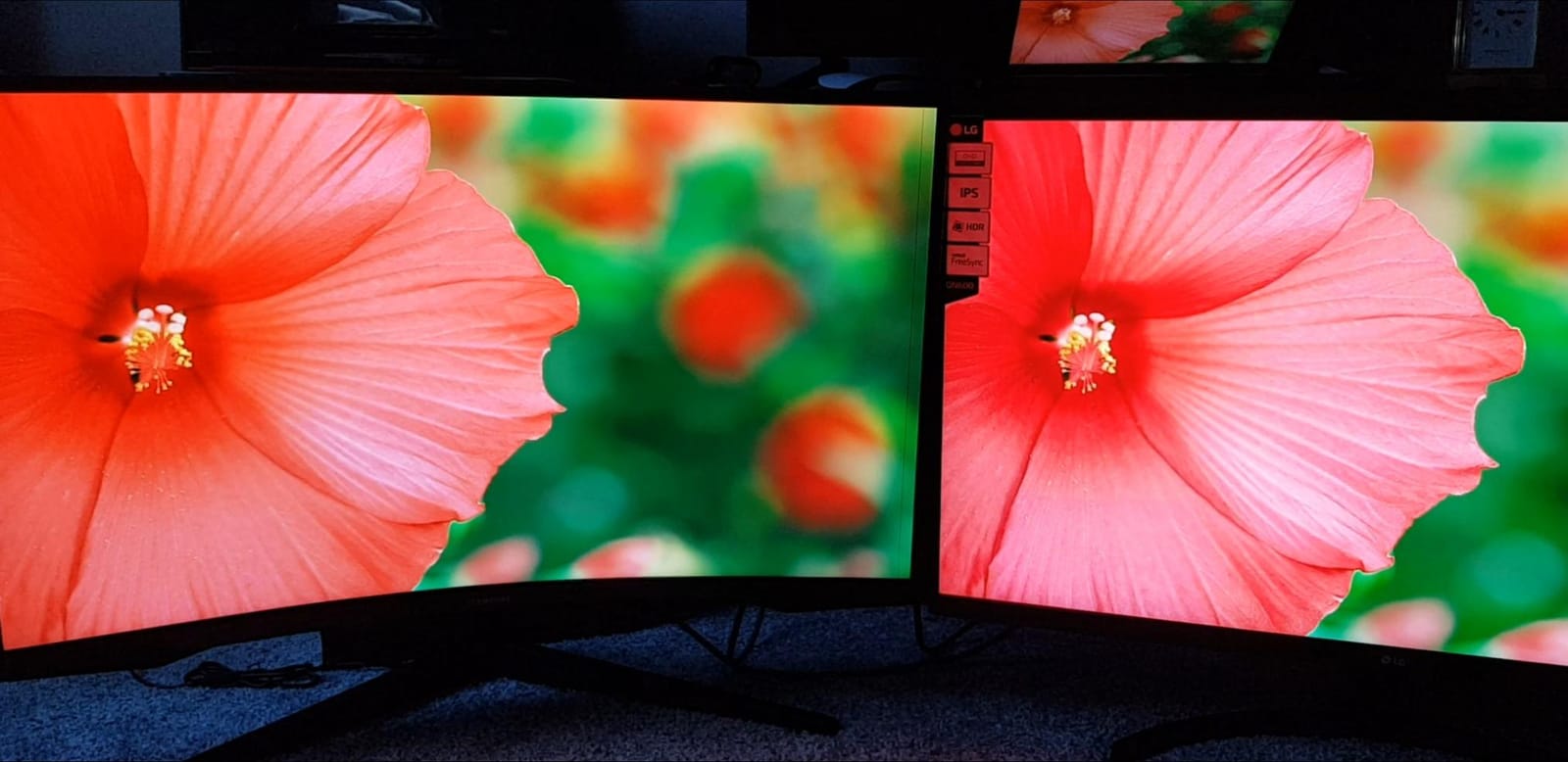 LG QHD 32-Inch Computer Monitor 32QN600-B, IPS with HDR 10 Compatibility and AMD FreeSync, Black customer photo 2