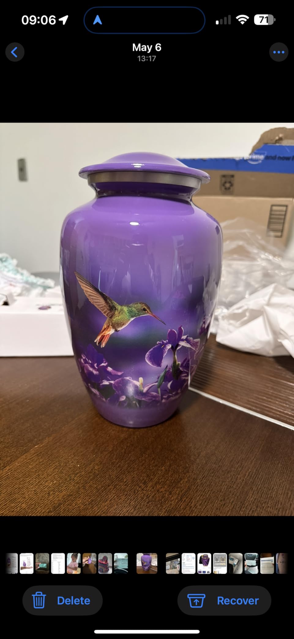Trupoint Memorials Urns for Human Ashes Adult Female and Male, Decorative Burial Urn, Funeral Cremation Urns for Women and Men - Large Hummingbird customer photo 1