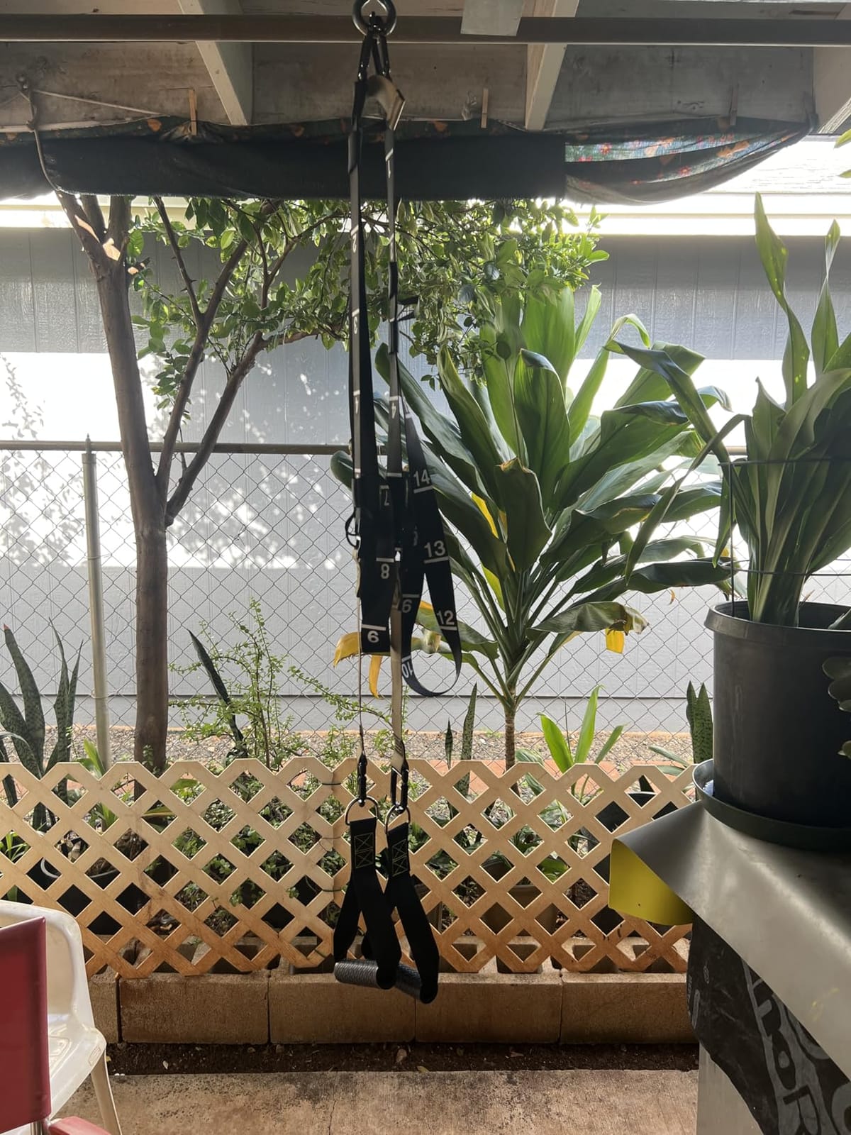 Suspension Trainer, Bodyweight Training Straps for Full Body Workouts at Home, Includes Door Anchor, Extension Arms and Advanced Foot Straps. Green customer photo 1