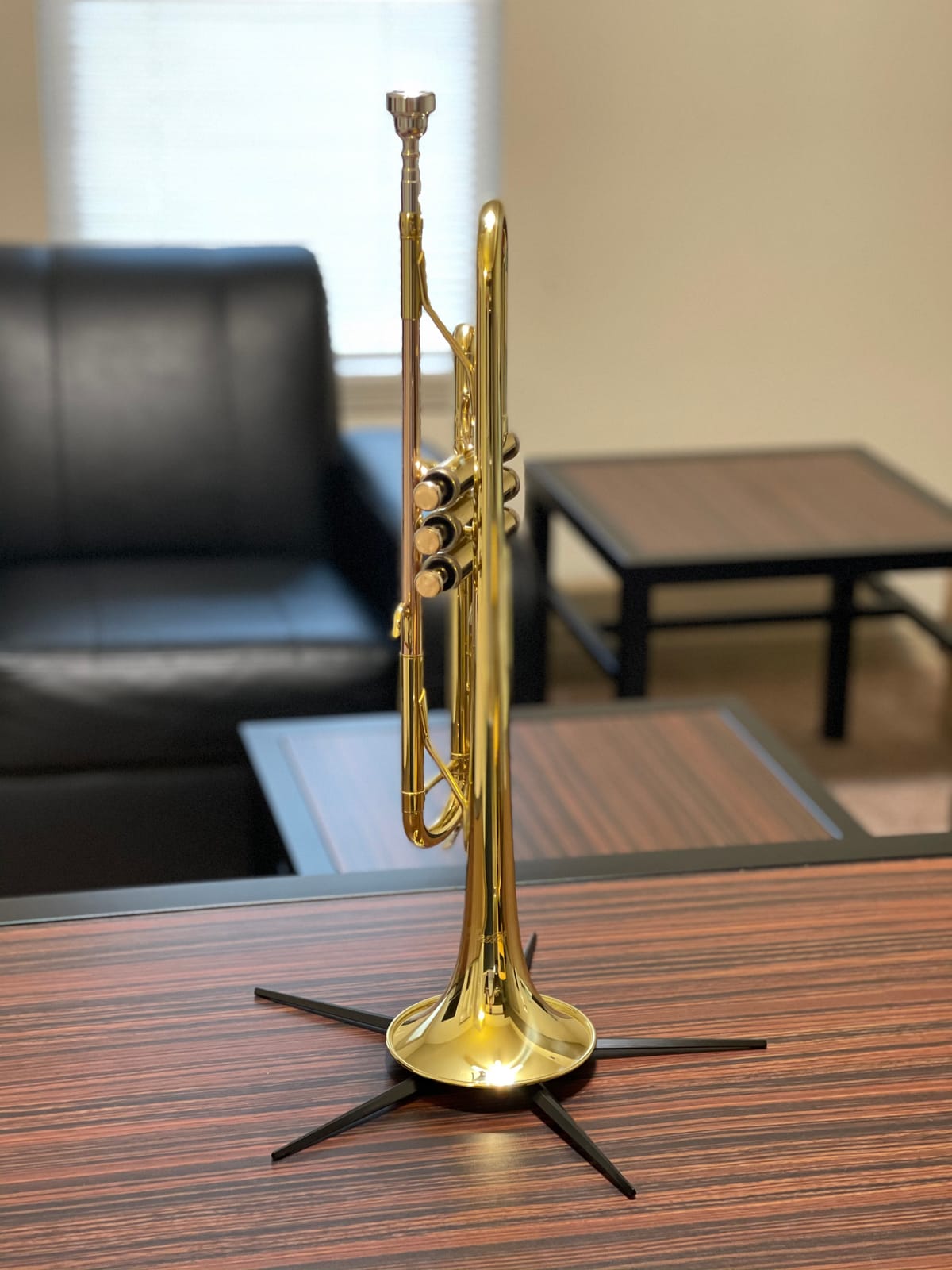 Libretto Gold Lacquer Bb Trumpet Set, Rose Brass Leadpipe | Standard for Beginner & Intermediate Students, Stainless Valve, 7C Mouthpiece, Durable Case, Portable Stand, Care Kit customer photo 2