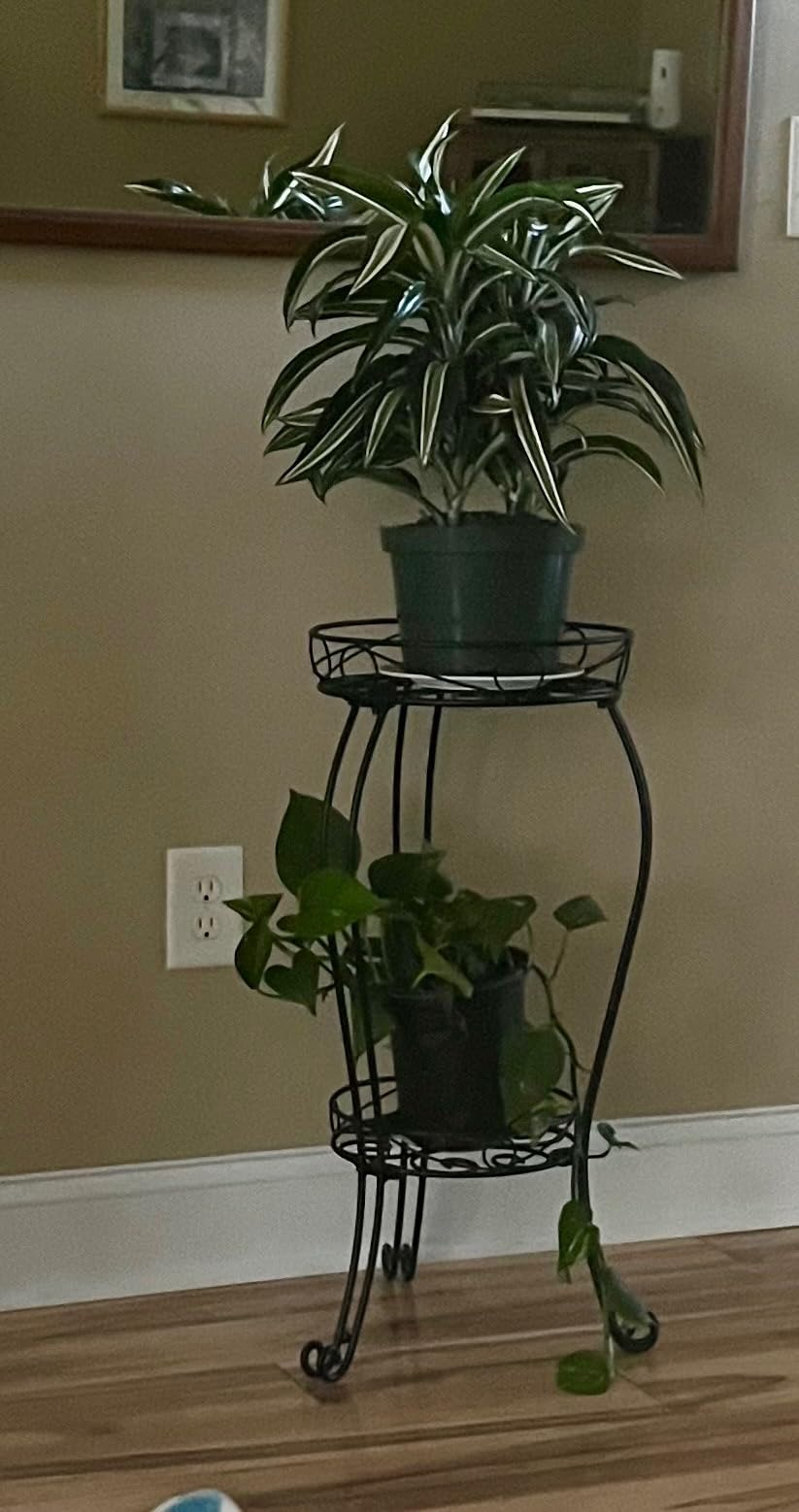 TREEZITEK 11.8 inches Diameter Tall Metal Plant Stand for Indoor or Outdoor, Heavy Duty Flower Pot Stand Rack Holds Big Heavy Plants, Black (18.9 INCHES TALL) customer photo 2