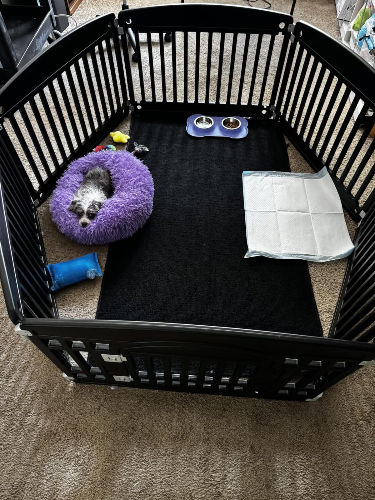 Small Calming Dogs Bed for Small Dogs Anti-Anxiety Machine Washable Fluffy Luxury Anti-Slip Waterproof Mute Base Warming Cozy Soft Pet Puppy Round Bed customer photo 2