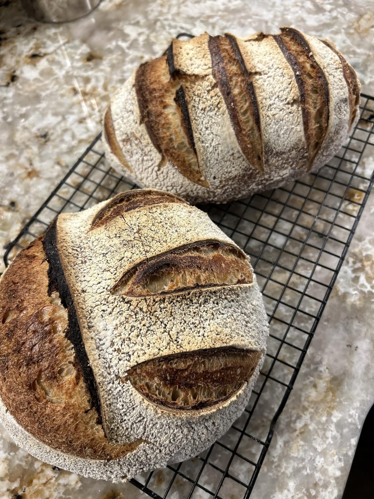 Rorecay Sourdough Starter Kit with Banneton Bread Proofing Baskets | Complete Sourdough Bread Baking Supplies, Beginner Friendly, 9in Round & 10in Oval Rattan Banneton, Sturdy Sour Dough Tool customer photo 2