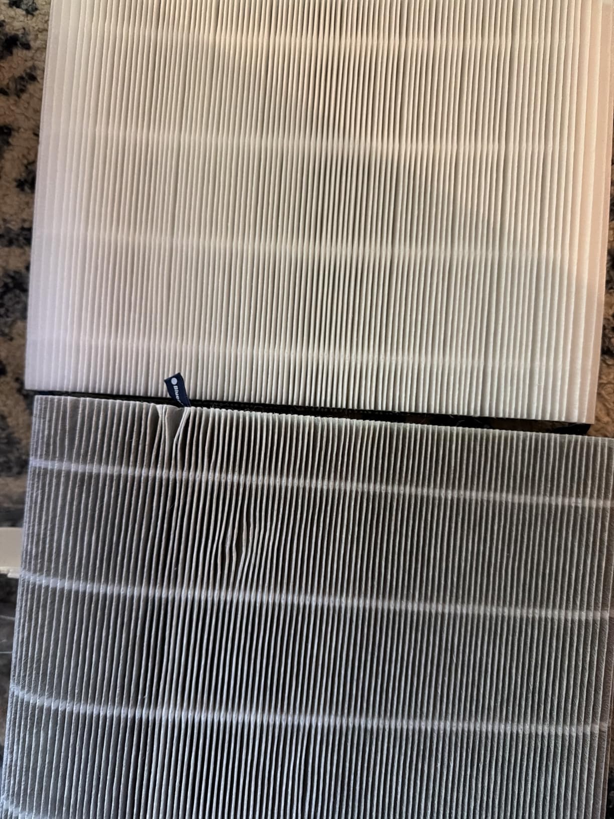 BLUEAIR Air Purifier for Home HEPA Air Purifiers for Pets, Allergies, Dust, Nursery, Office HEPASilent Techonolgy Air Cleaner for Small Rooms 432 sq ft coverage - Blue Pure 511 customer photo 2