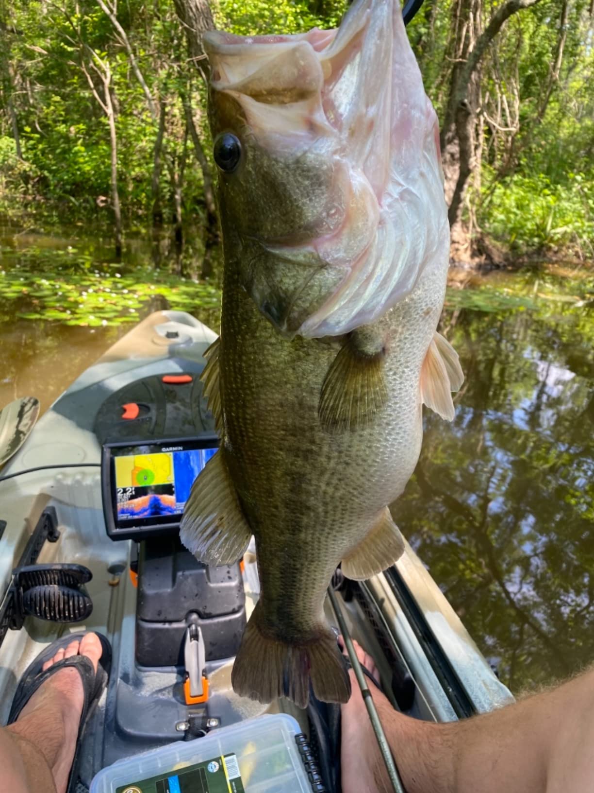 Garmin Striker Vivid 7sv, Easy-to-Use 7-inch Color Fishfinder and Sonar Transducer, Vivid Scanning Sonar Color Palettes (010-02553-00) customer photo 1