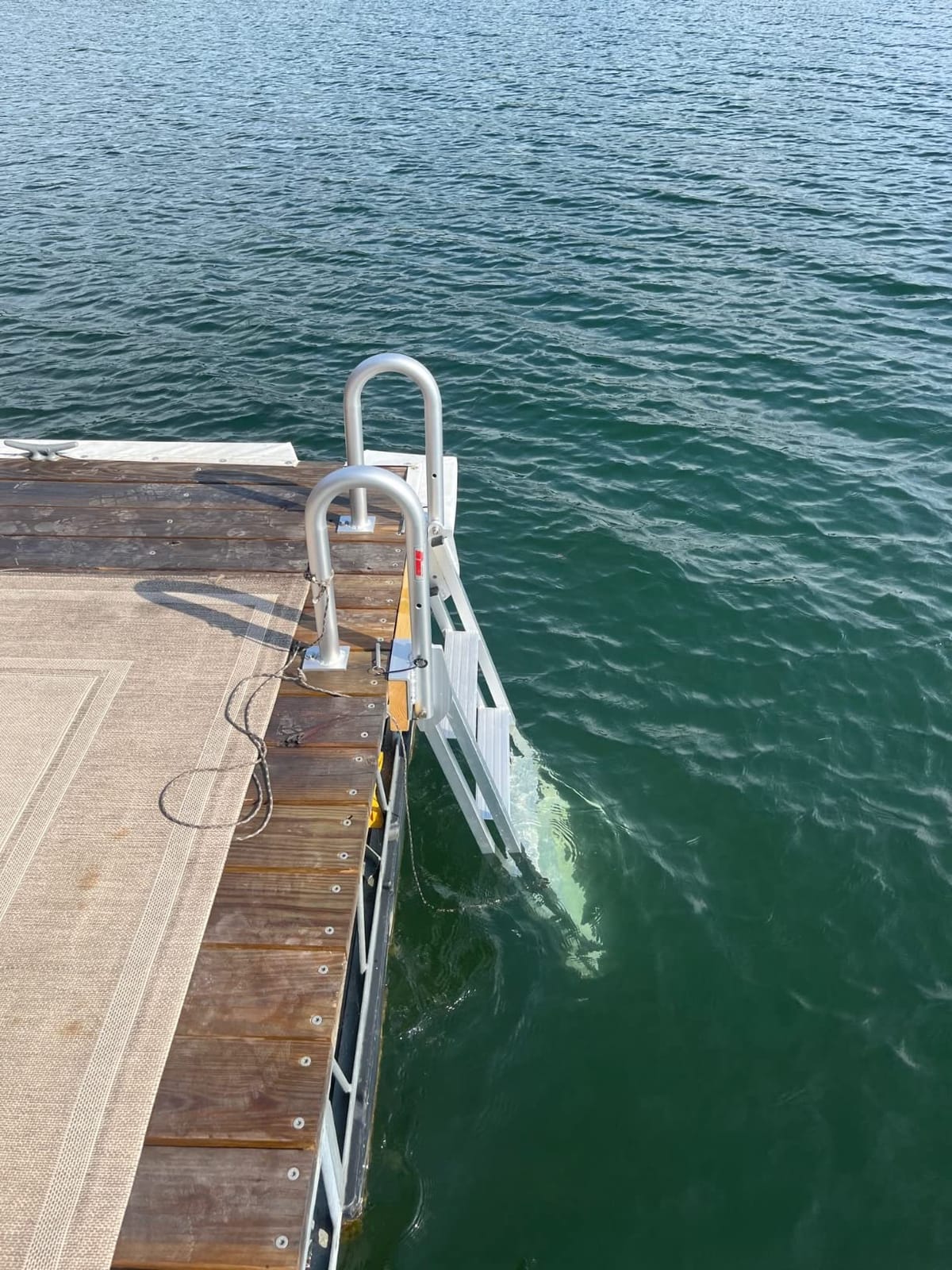Extreme Max 3005.4227 Heavy-Duty Aluminum Slanted Flip-Up Dock Ladder with Comfort Use Round Tube Frame - 4-Step, 300 lbs. Weight Capacity customer photo 1