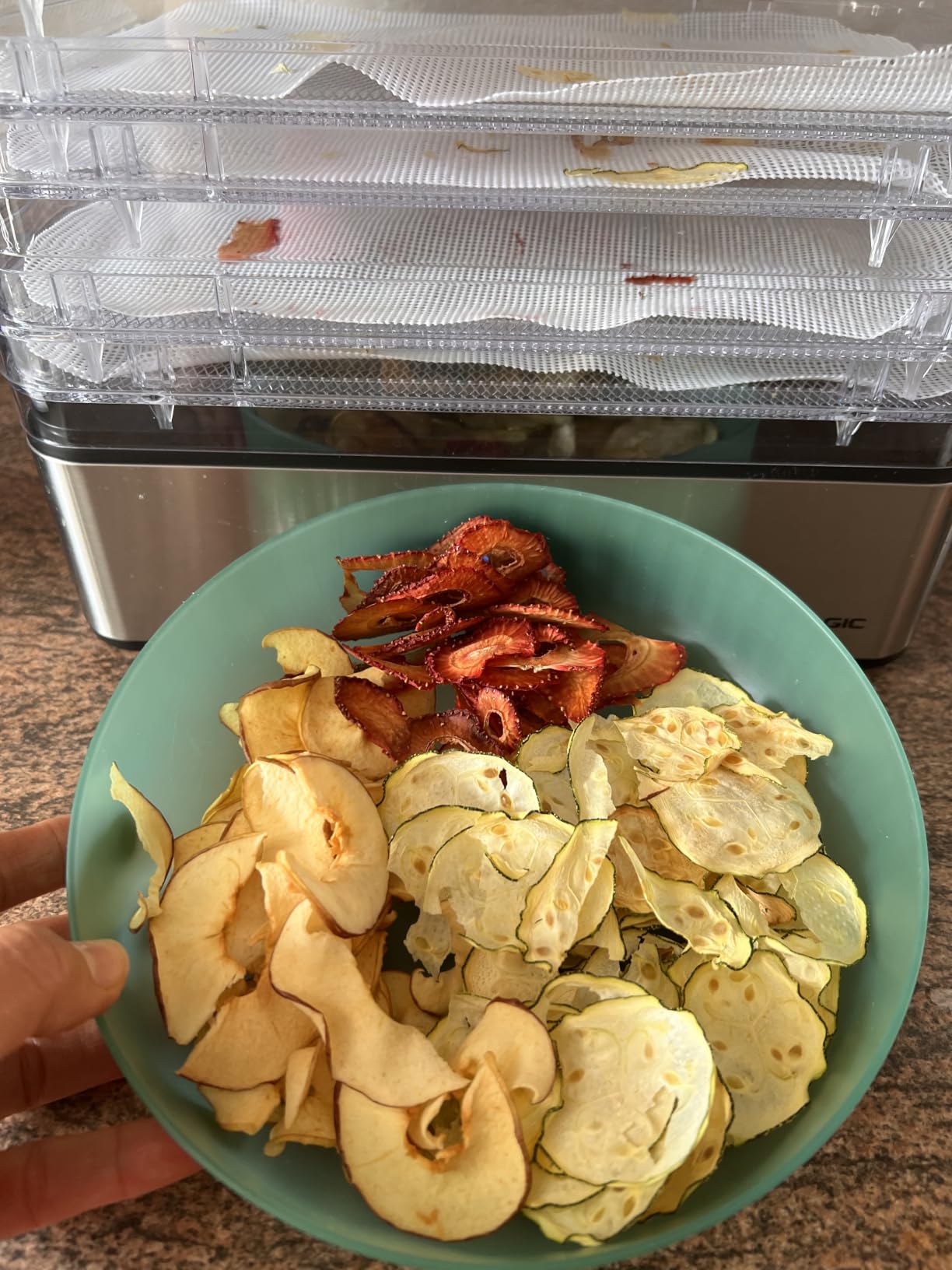 Magic Mill Food Dehydrator Machine | 5 Stackable Stainless Steel Trays, 48H Digital Adjustable Timer & Temperature Control Upto 167° Electric Dryer & Preserver for Jerky, Fruit, Dog Treats & Much More customer photo 1