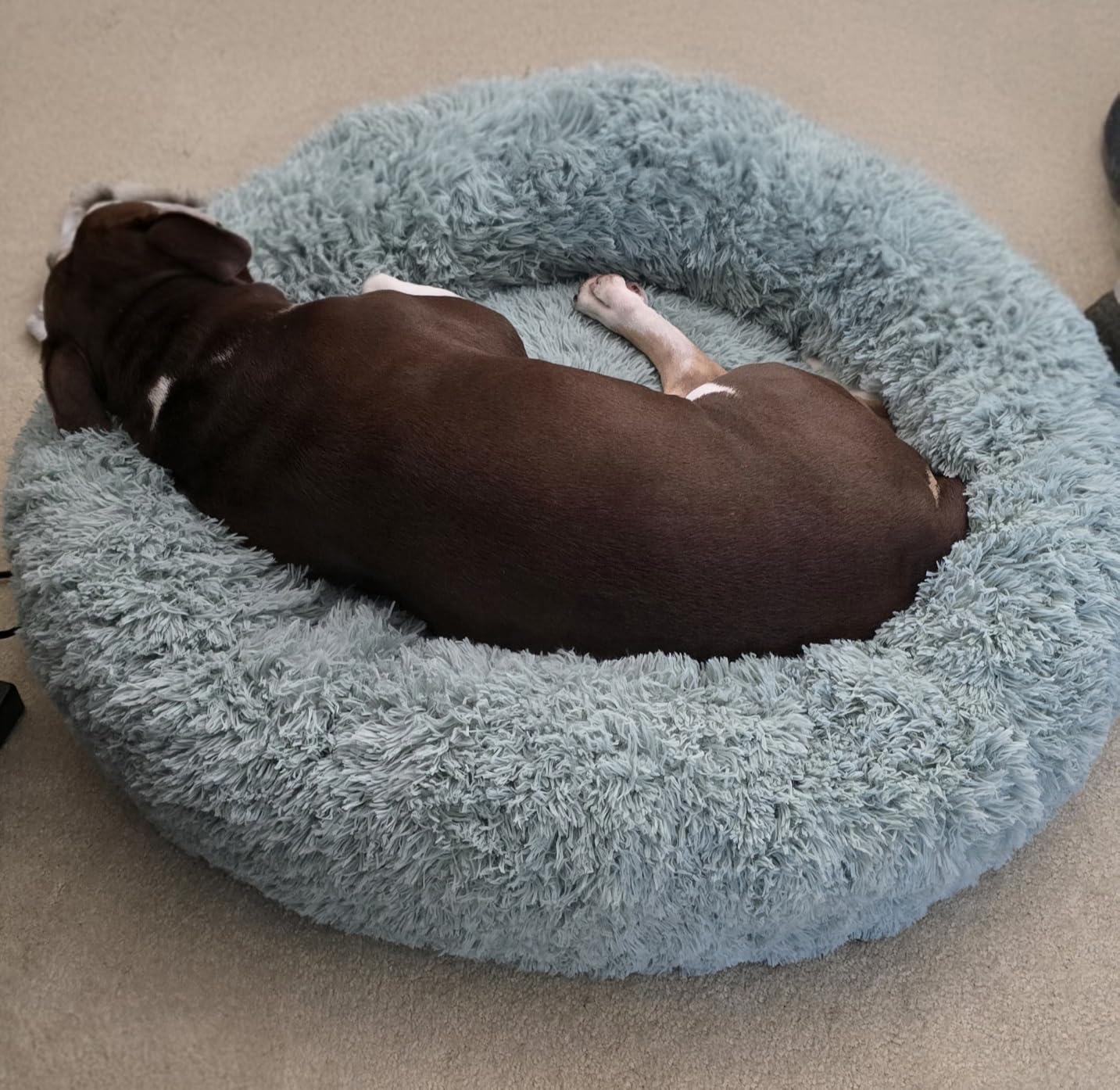 Bedsure Calming Dog Beds Large Sized Dog Donut Washable Pet Bed, 36in Camel | Oprah Daily Award, Fluffy Faux Fur Round Cuddler, Removable Washable Cover, Anti-Slip Bottom, Anti-Anxiety, Up to 80 Lbs customer photo 2