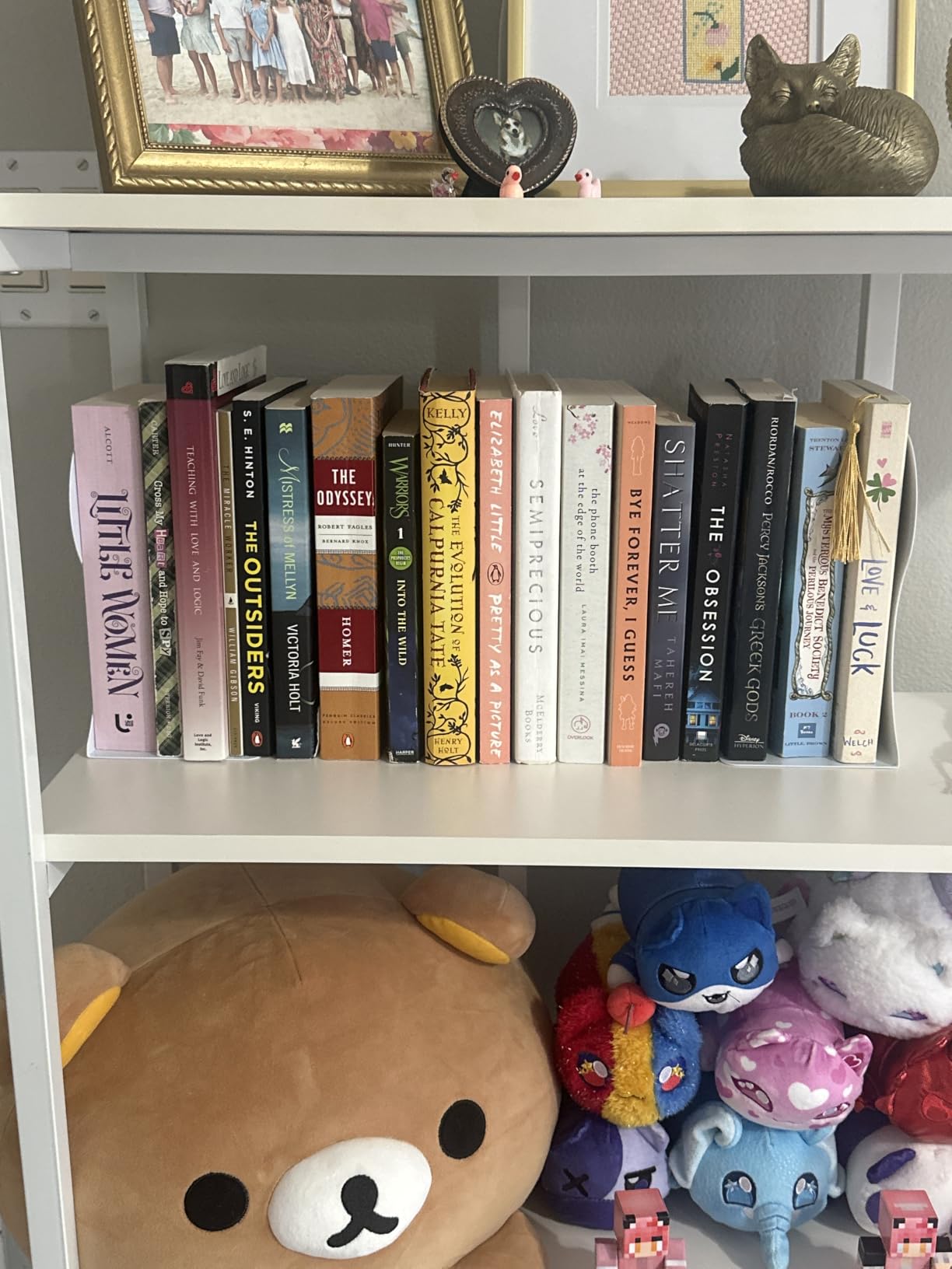 Aobopar Adjustable Book Ends, Metal Bookends for Heavy Books, Desk Book Holder for Shelves, Book Organizer for Desk, Suitable for Office, Home and School Use (Black) customer photo 2