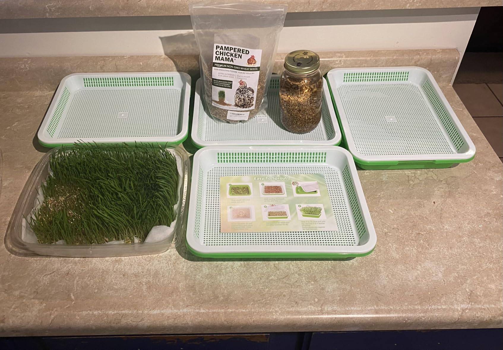 Legigo 5 Pack Seed Sprouter Trays with Lids- Soil-Free Cultivation Germination Tray, BPA Free Micro Greens Growing Trays Seed Sprouting Trays Kit with Germinating Paper for Wheatgrass, Beans and More customer photo 1