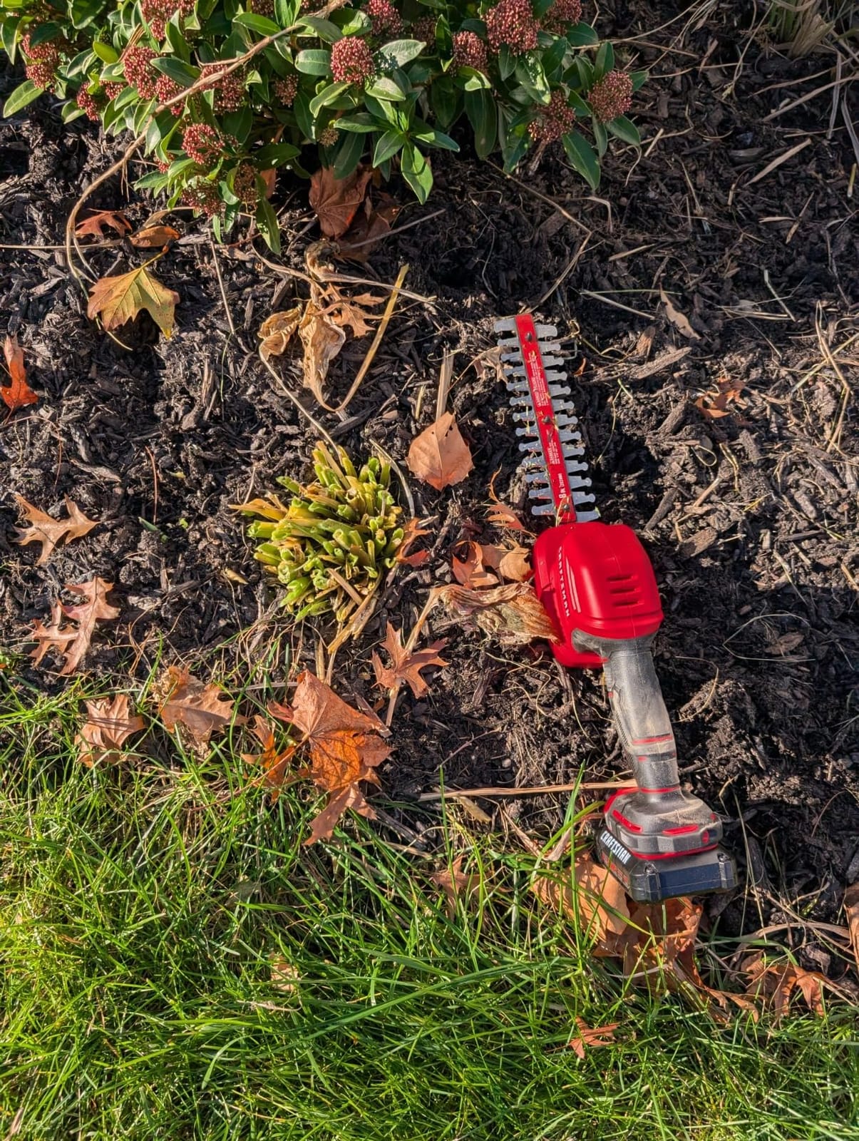 CRAFTSMAN V20 4 In. Cordless Handheld Grass Trimmer and 8 In. Mini Hedge Trimmer, Battery and Charger Included, Rechargeable 2 in 1 Grass Shear and Bush Trimmer (CMCSS800C1) customer photo 2