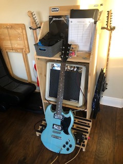 Leo Jaymz DIY TL Style Electric Guitar Kits with Mahogany Body and Maple Neck - Maple Fingerboard and All Components Included (TL) customer photo 1