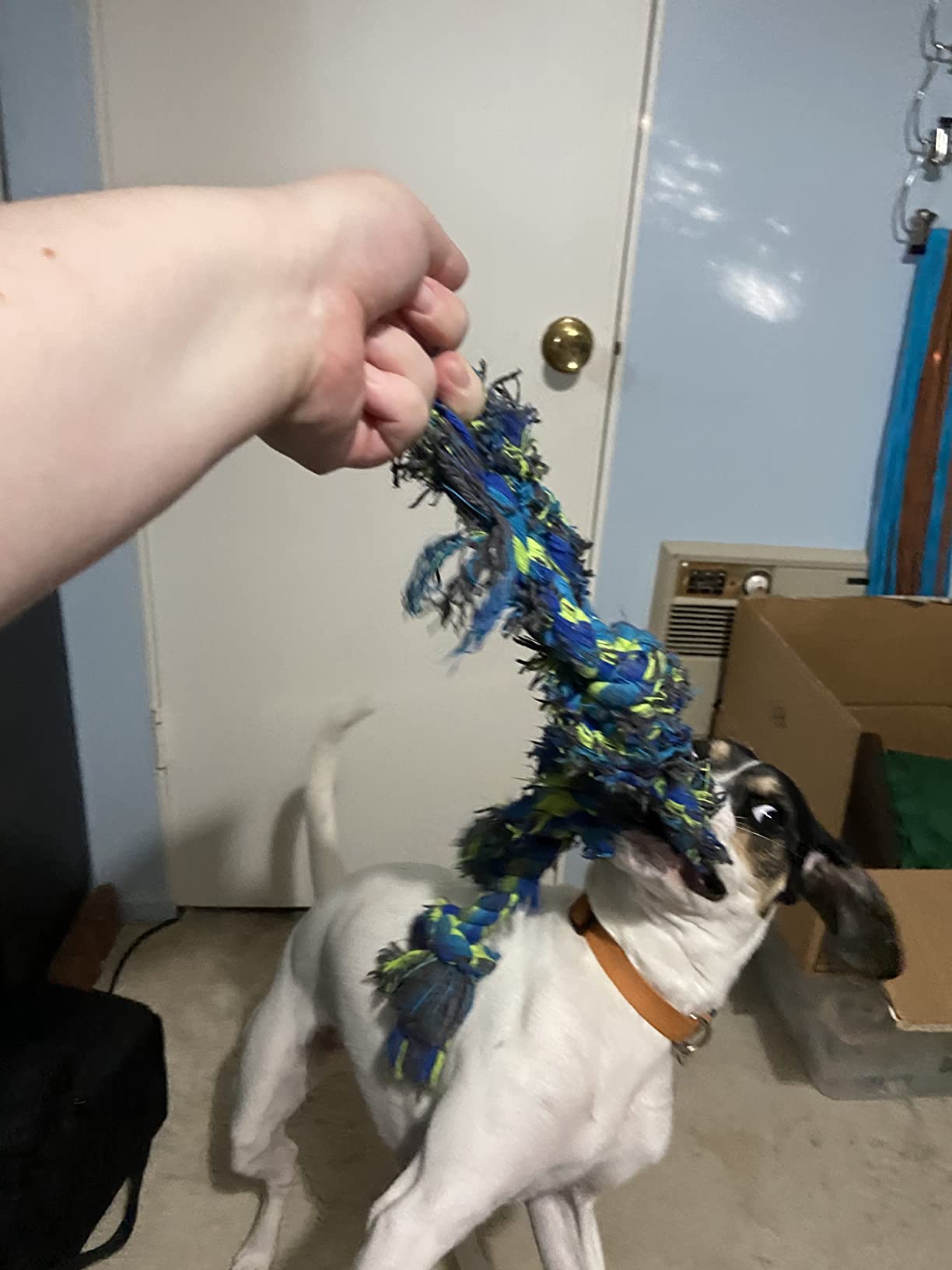Feeko Heavy Duty Dog Rope Toys for Large Breed Aggressive Chewers, 2 Pack customer photo 1