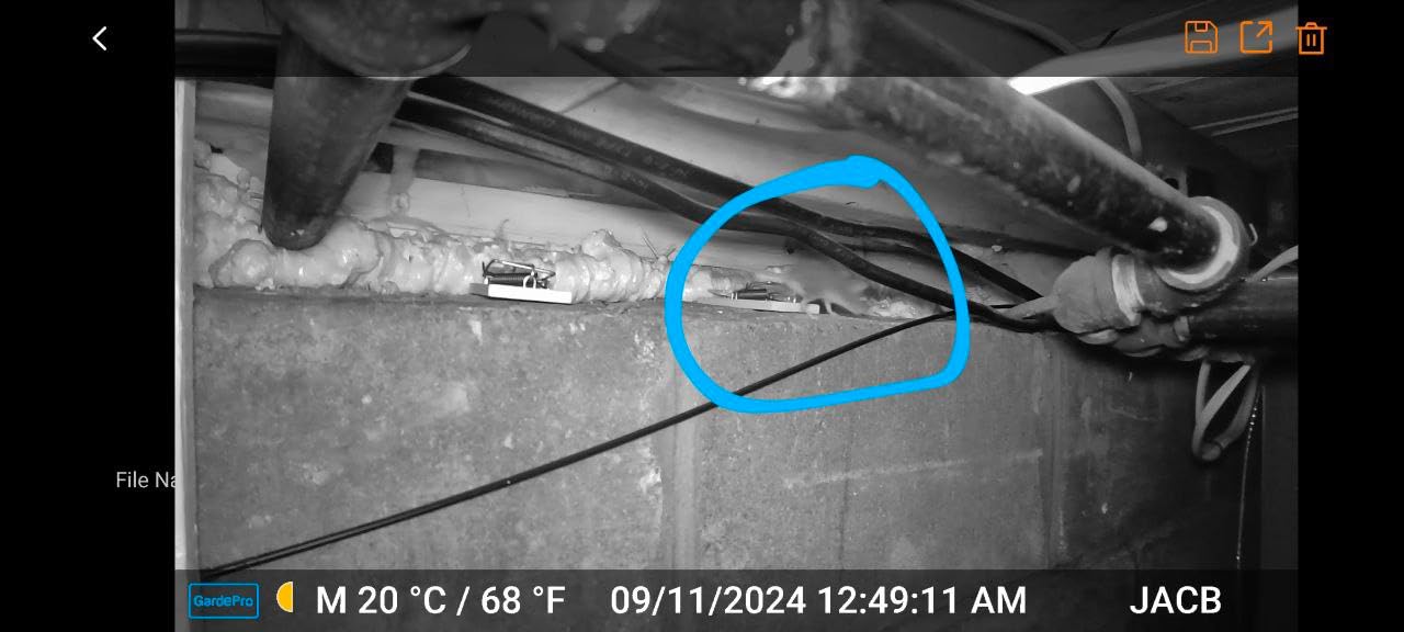 GardePro E6 WiFi Trail Camera, Stable WiFi with External Antenna customer photo 1