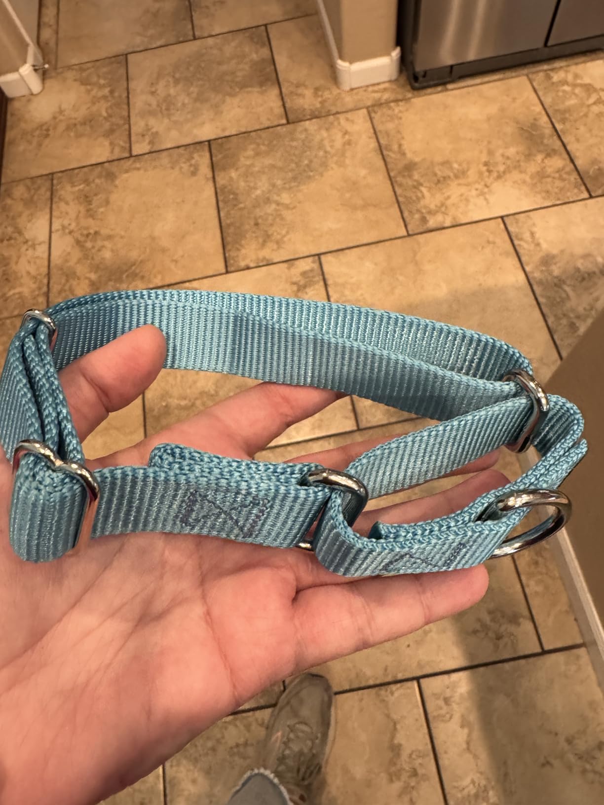 Country Brook Petz - Martingale Dog Collar - Heavy-Duty Training Collar with No Buckle - Service Dog Collar for All Pups - 20 Vibrant Colors (Lavender, 1 Inch, Medium) customer photo 1