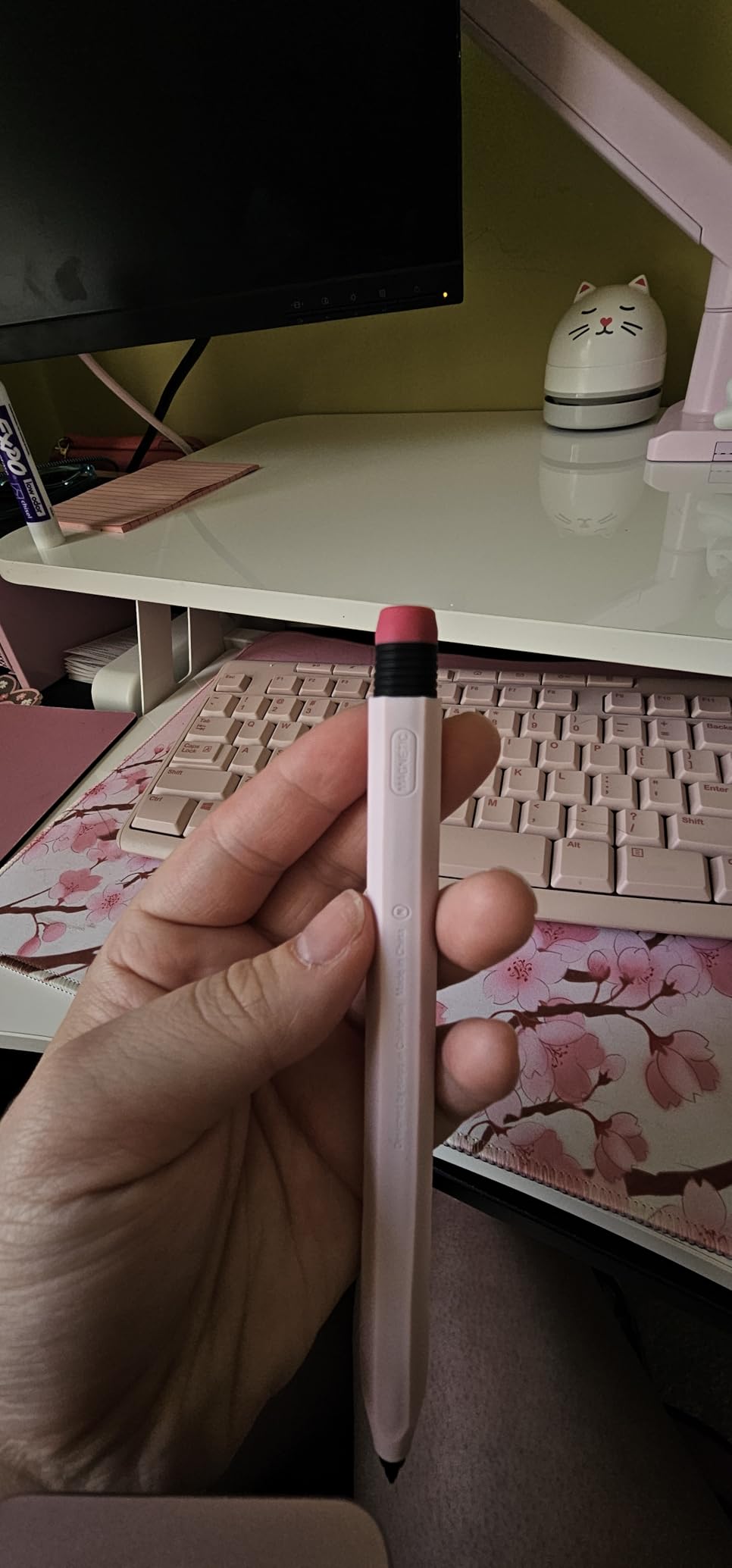 elago Case for Apple Pencil Pro & Apple Pencil 2nd Generation customer photo 2