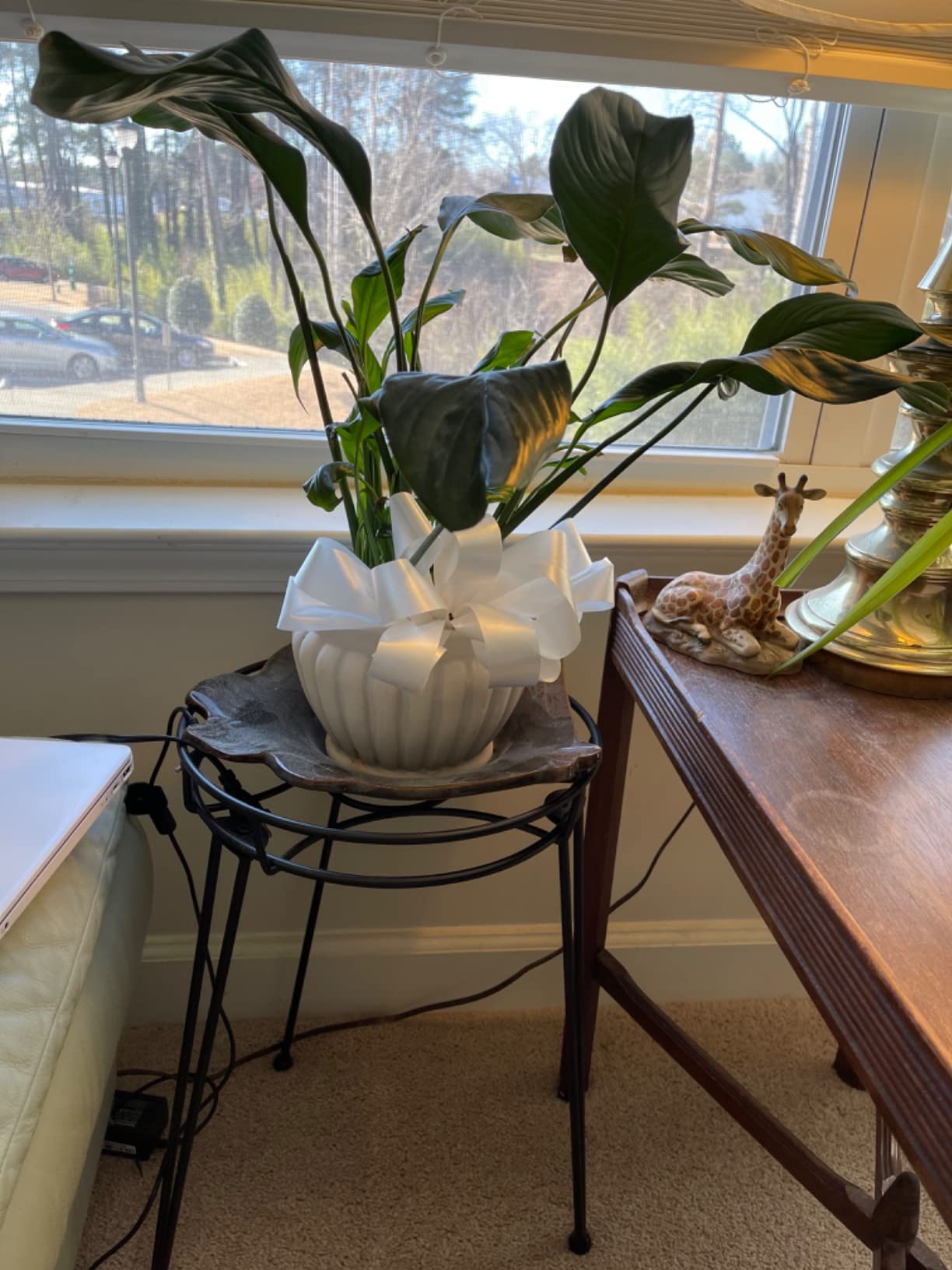 Midcentury Modern Metal Potted Plant Stand 18.7 inches Tall Flower Pot Holder Large Rustproof Iron Garden Container Heavy Duty Rack for Planter, Black (18.7 inches Tall Black) customer photo 1