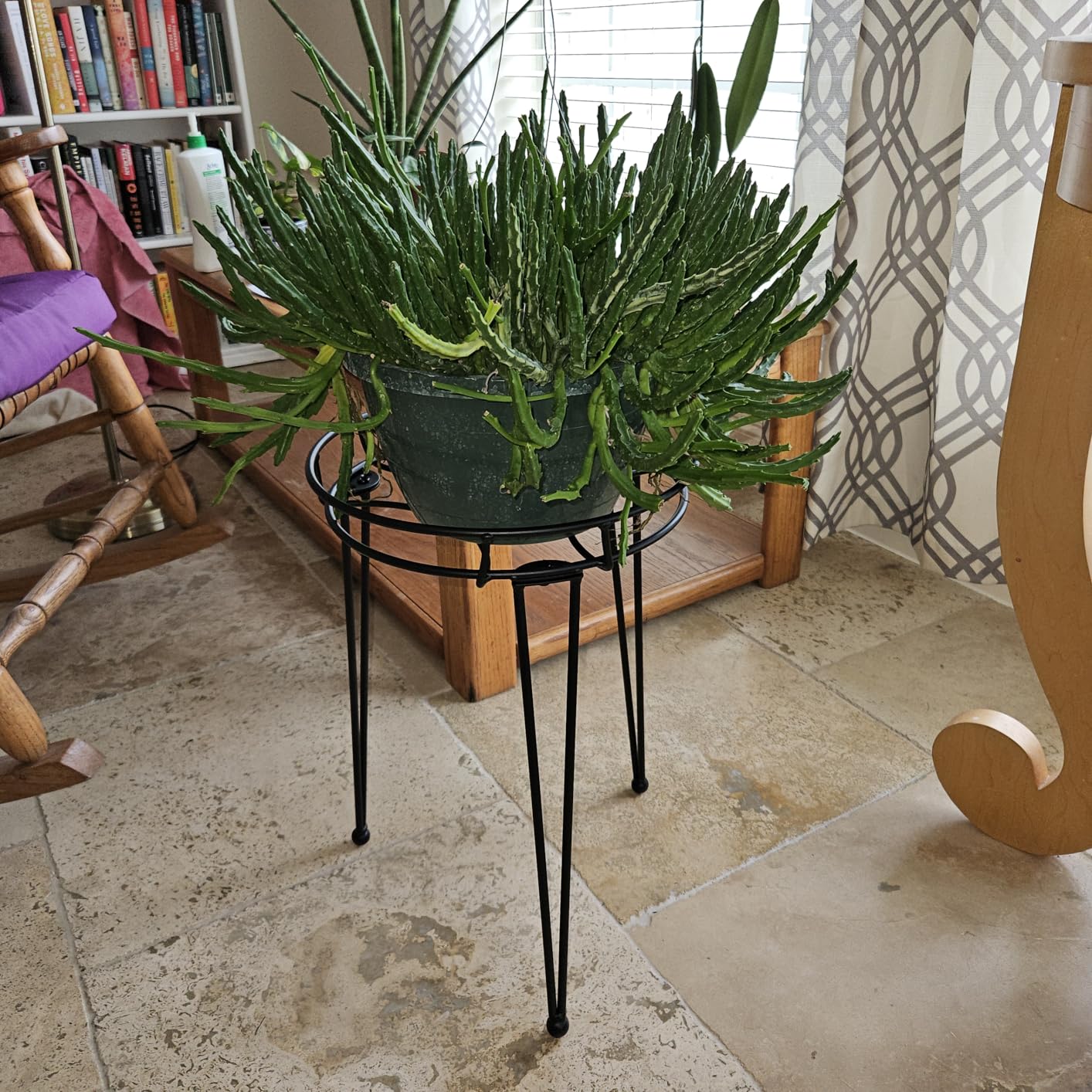 Midcentury Modern Metal Potted Plant Stand 18.7 inches Tall Flower Pot Holder Large Rustproof Iron Garden Container Heavy Duty Rack for Planter, Black (18.7 inches Tall Black) customer photo 2