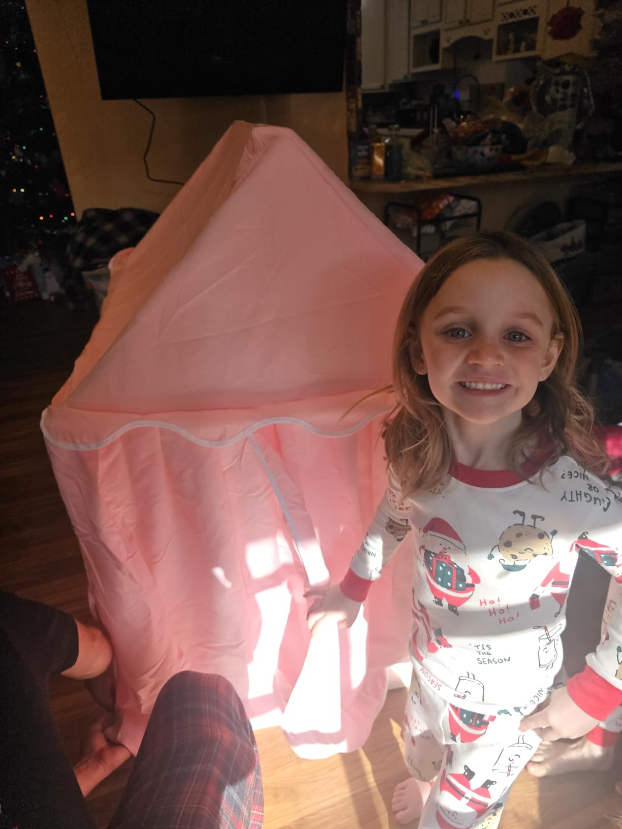 SISTICKER Kids Tents Indoor for Girls, Toddler Play Tent Large Fairy Playhouse for Baby Inside Princess Castle House Child Teepee Gift Toys(Pink) customer photo 2