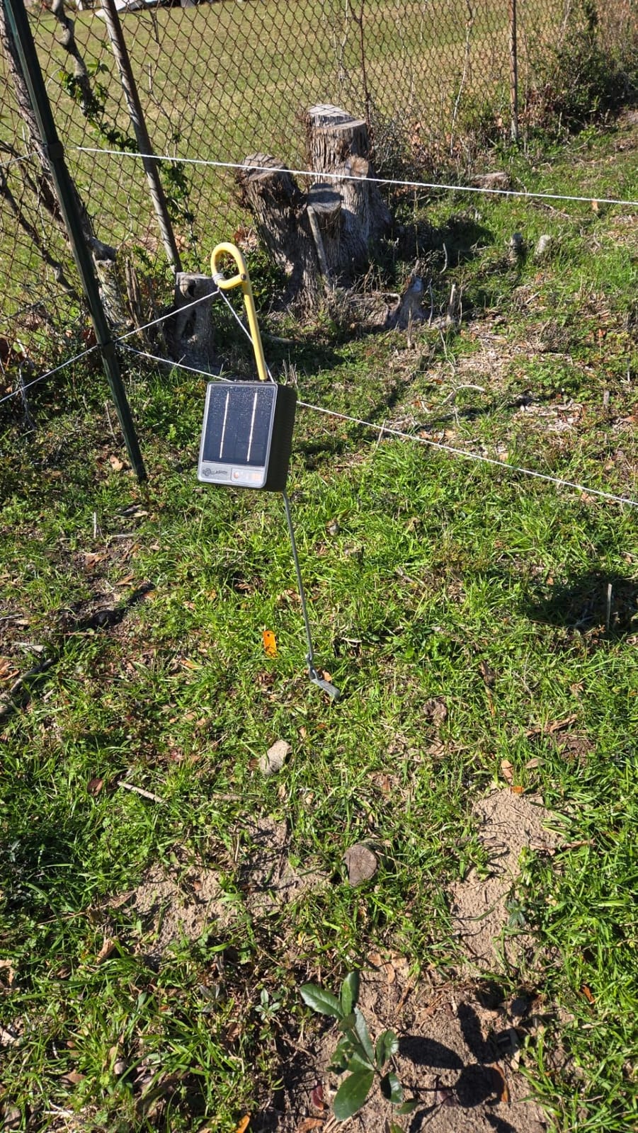 Gallagher S12 Solar Fence Charger | Solar Electric Fence Energizer | 4 Miles of Protection | For Livestock, Goats, and Small Pastures | 3-Year Warranty And U.S. Support customer photo 2