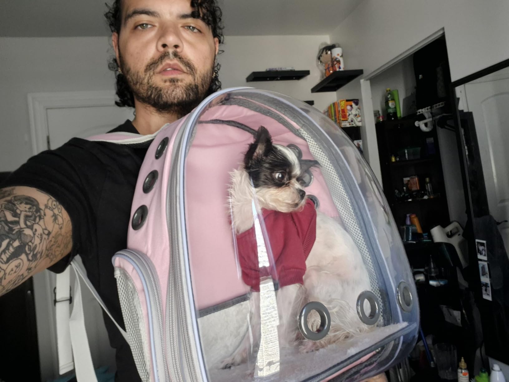 Lollimeow Cat Carrier Backpack, Expandable Bubble Pet Carrier for Cats and Small Dogs, Airline Approved Travel Backpack for Hiking, Walking & Outdoor Adventures - Supports up to 16 lbs customer photo 2