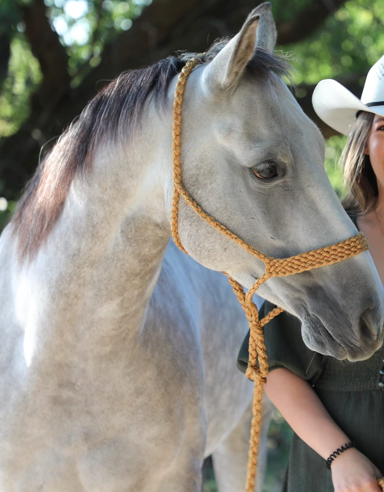 Cashel Flat Braid Halter and Leadrope customer photo 1